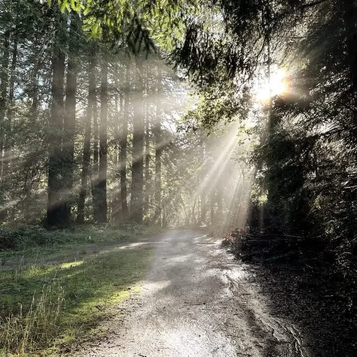 February Newsletter 2026 - Holding On to What Matters -
https://mailchi.mp/petegyoga/february-newsletter-2026

Lately, when I&rsquo;m teaching yoga and feeling the weight of the world - the division, the suffering, the uncertainty - I sometimes don&r