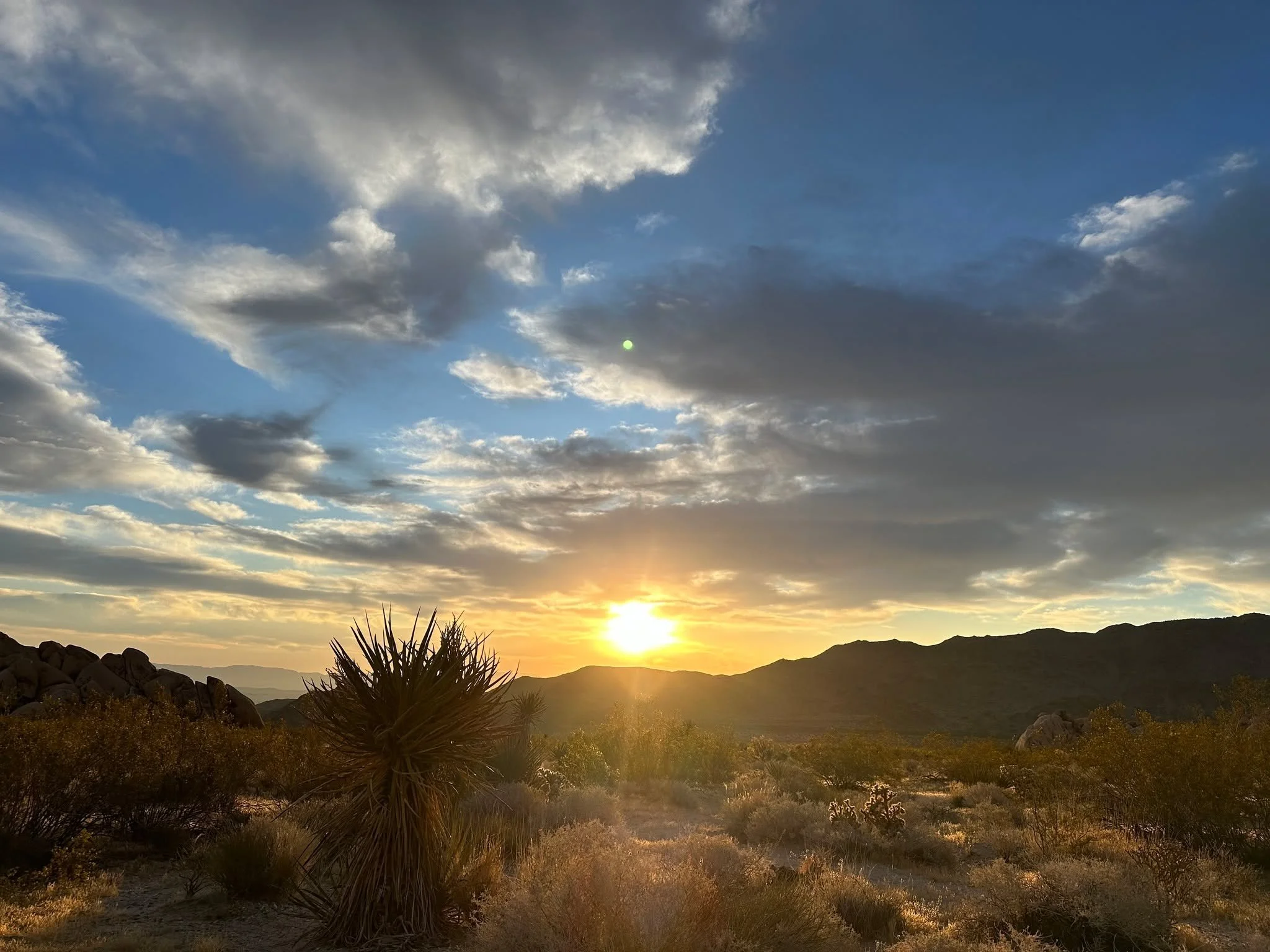 Final call for Joshua Tree 🌵

We&rsquo;re down to the last 5 spots - and once they&rsquo;re filled, that&rsquo;s it.
If this retreat has been on your mind&hellip;
If something in you has been saying &ldquo;maybe&rdquo;&hellip;
If you&rsquo;ve been c