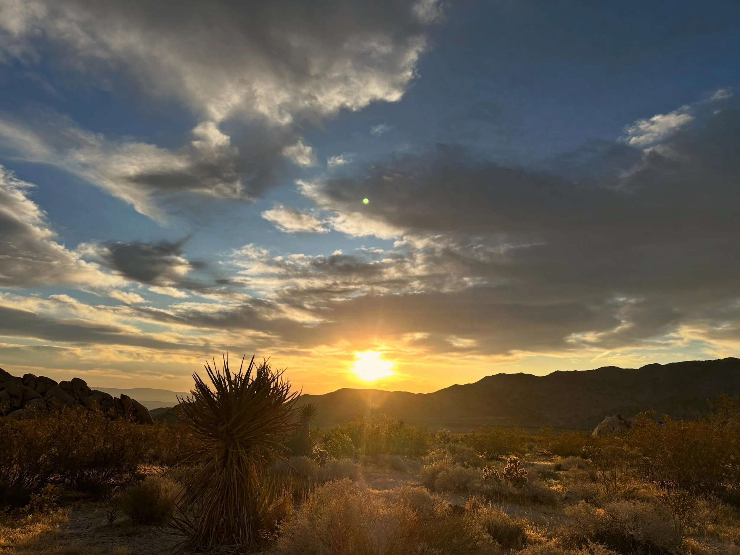 Every year when I arrive early for the Joshua Tree Yoga Retreat, there&rsquo;s a rhythm to it all.

Unloading the trailer. Setting up the camp kitchen. Raising shade structures in the desert wind. Organizing mats, water jugs, cooking gear, lanterns&h