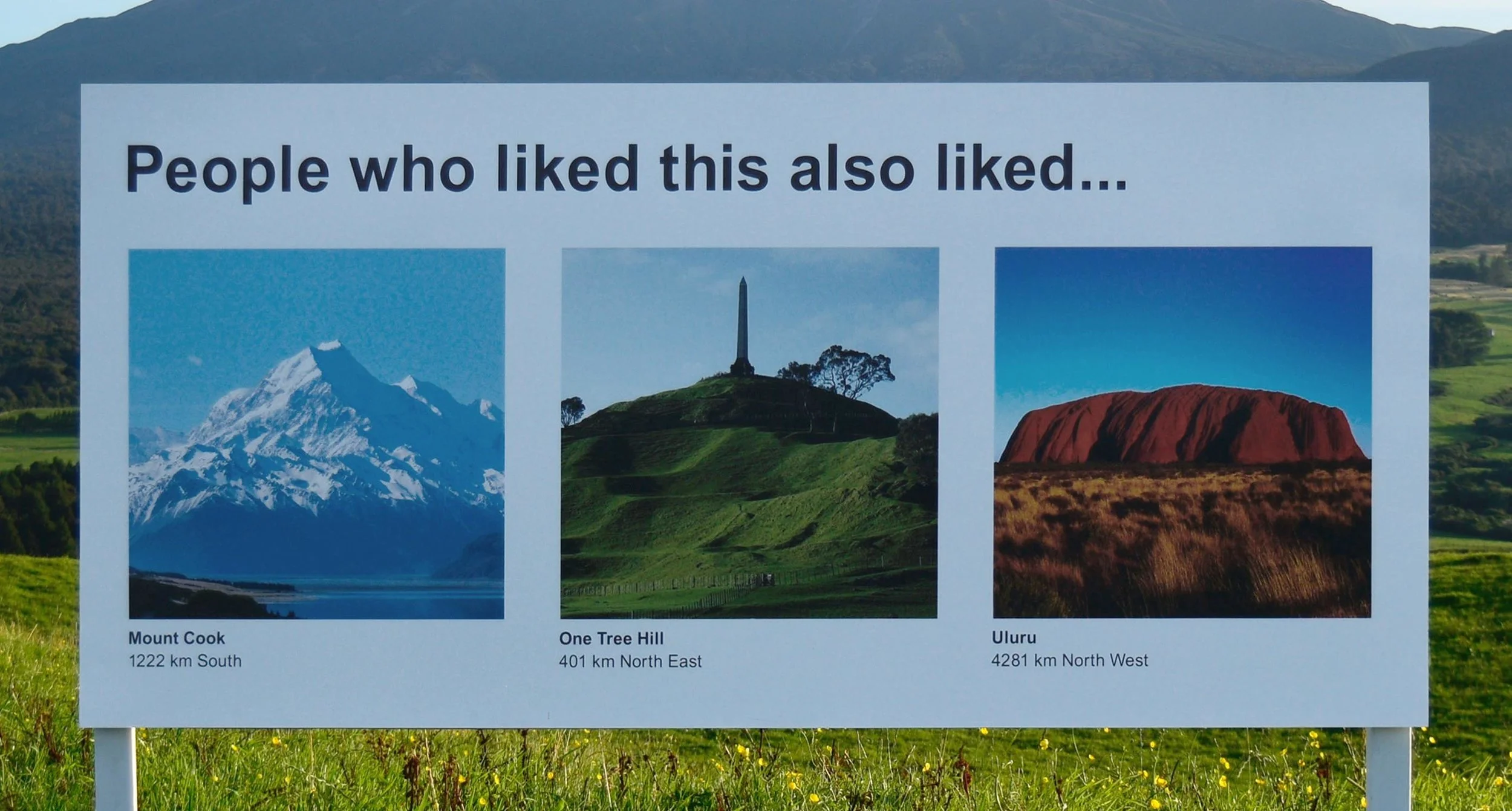 _DSC0124_MOUNTAIN_29june_alt_CLOSE (1).jpg