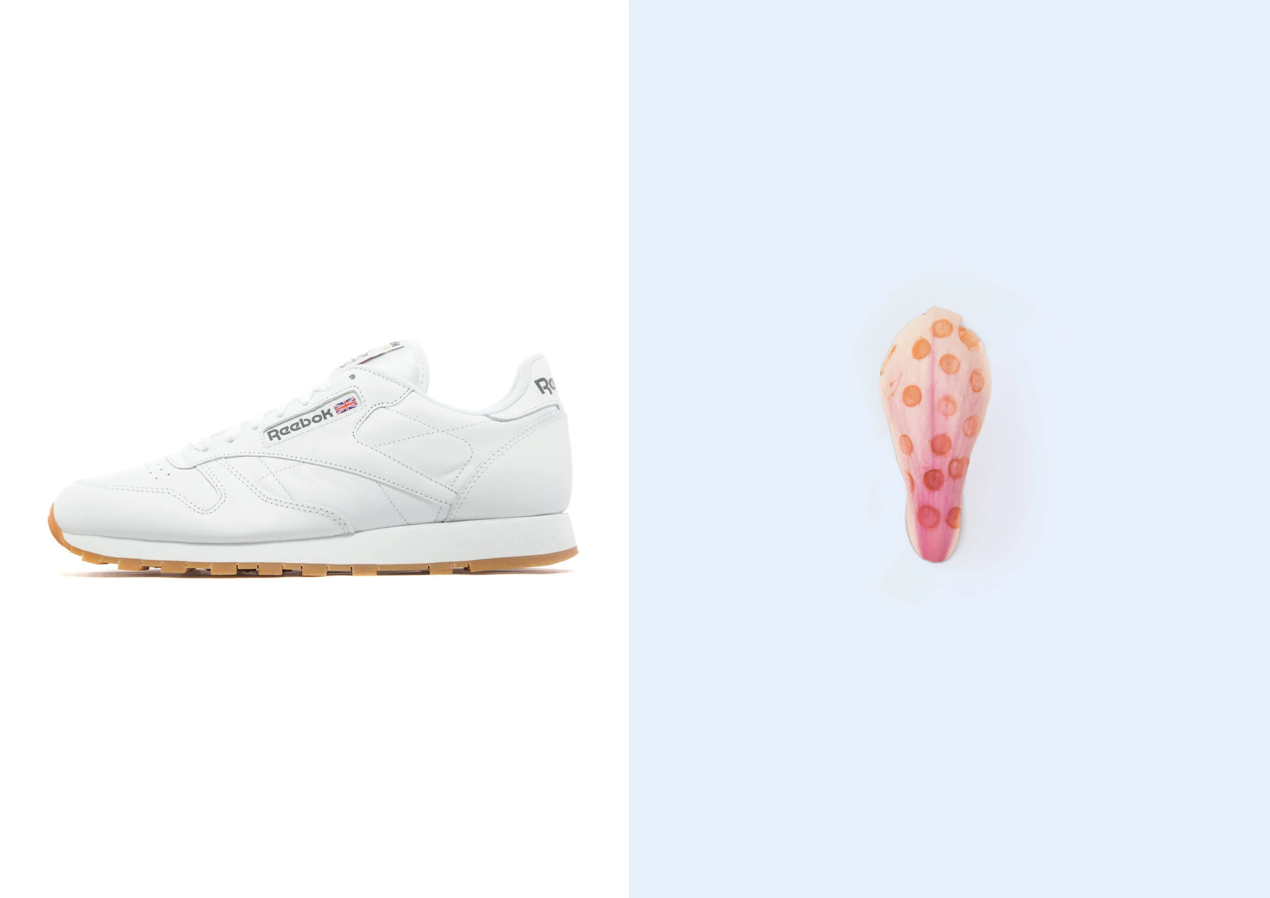 Sole Impression Sole Comparison11 copy11.jpg