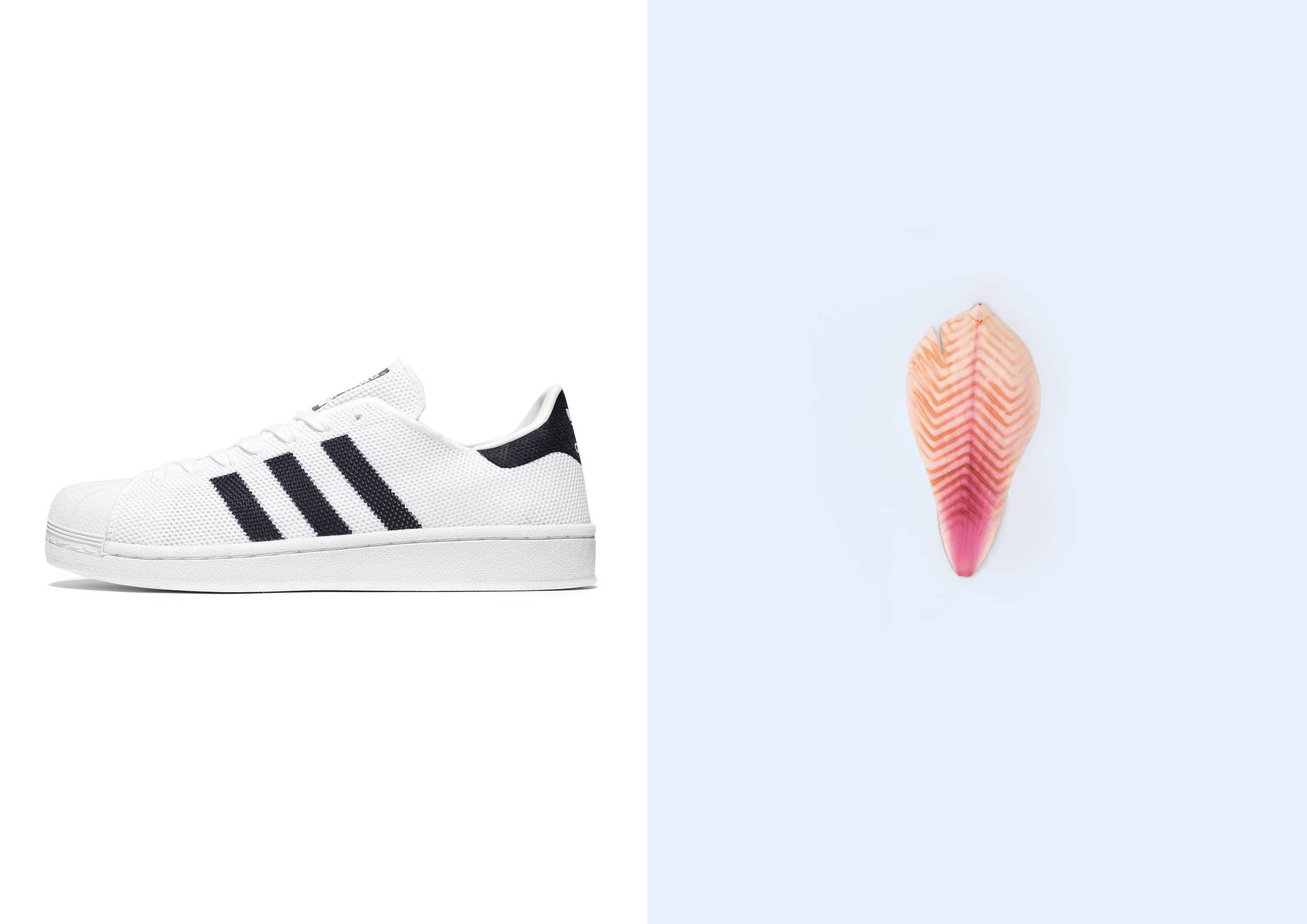 Sole Impression Sole Comparison copy.jpg