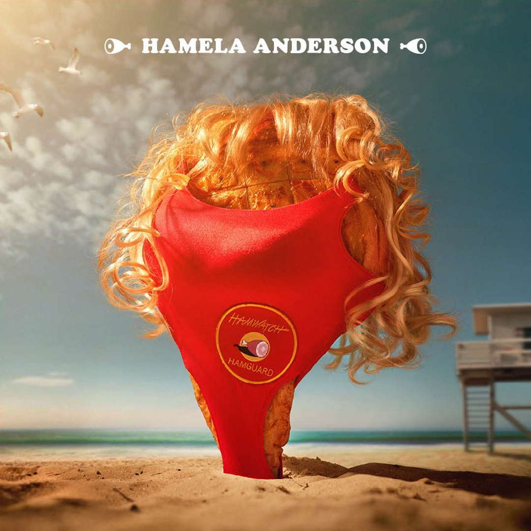 07-hamela-anderson.png