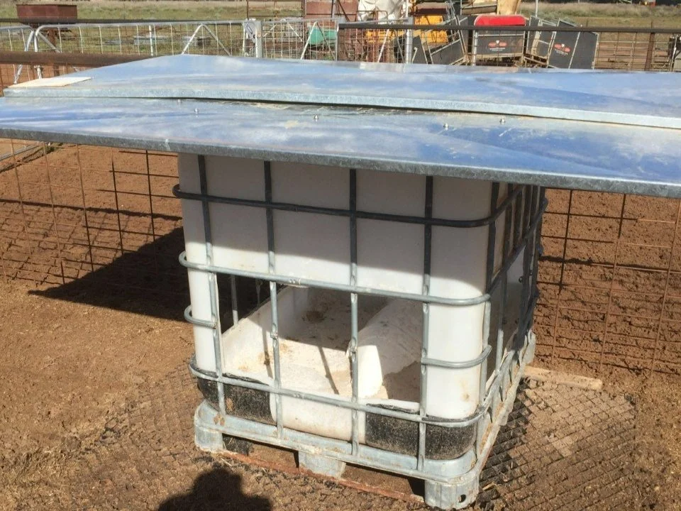 To Lick or Not to Lick?