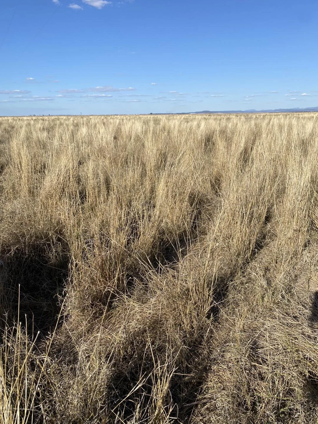 Stocktaking the paddock &amp; pantry.