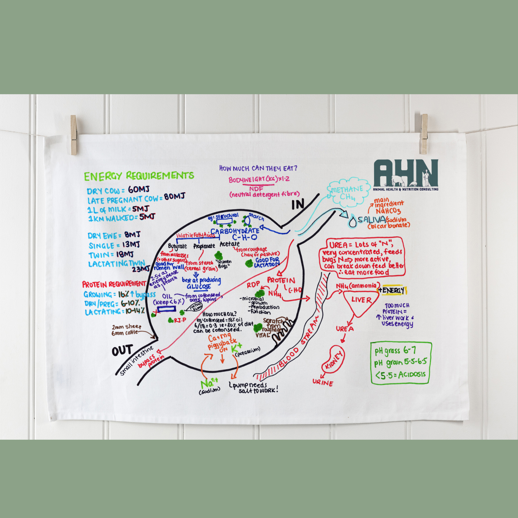 Untitled design (8).png