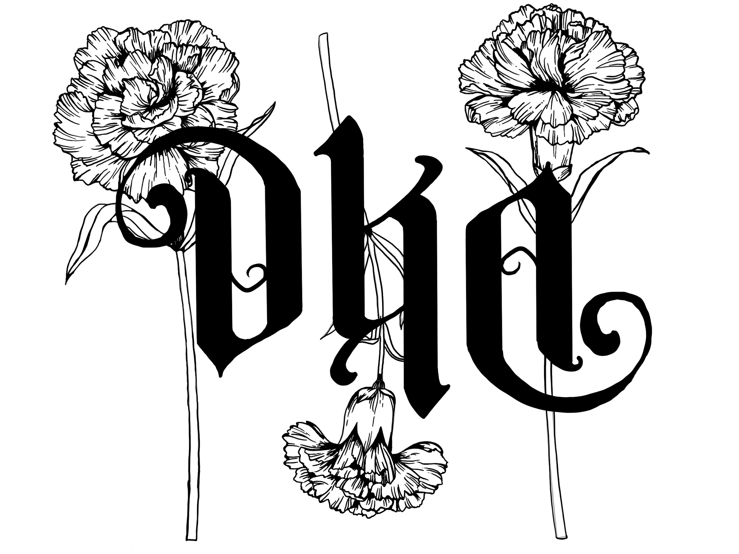 IMG_0262.PNG