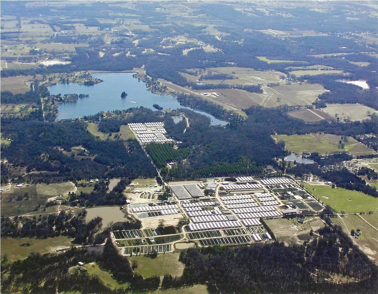 Aerial view of the legacy family nursery that inspired the owner of Golden Roots to start a San Diego-based landscape company—honoring generations of horticulture expertise and a passion for outdoor design. It ran for 30+ years and was 500+ acres.