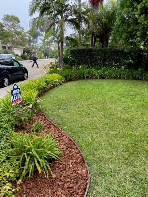 Front yard sod and bed refresh with plant and mulch.