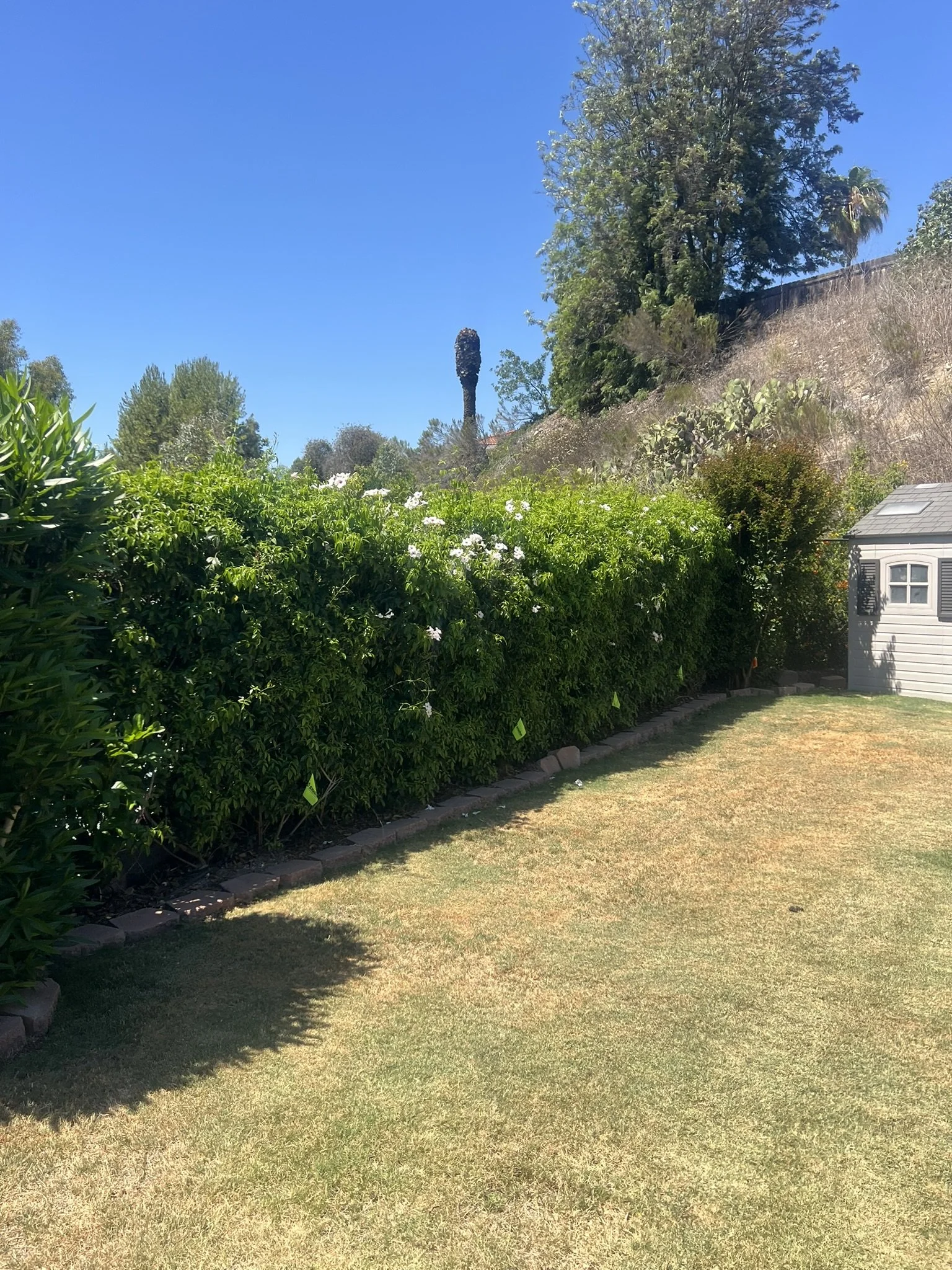 We added low voltage lighting around the entire property. 