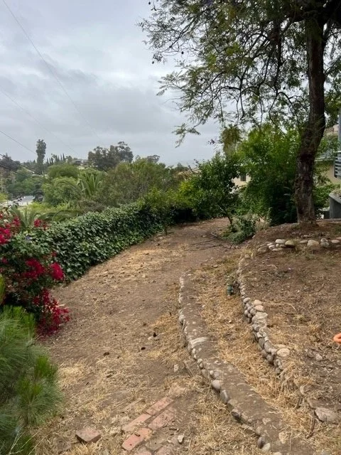 backyard mulch before.jpg