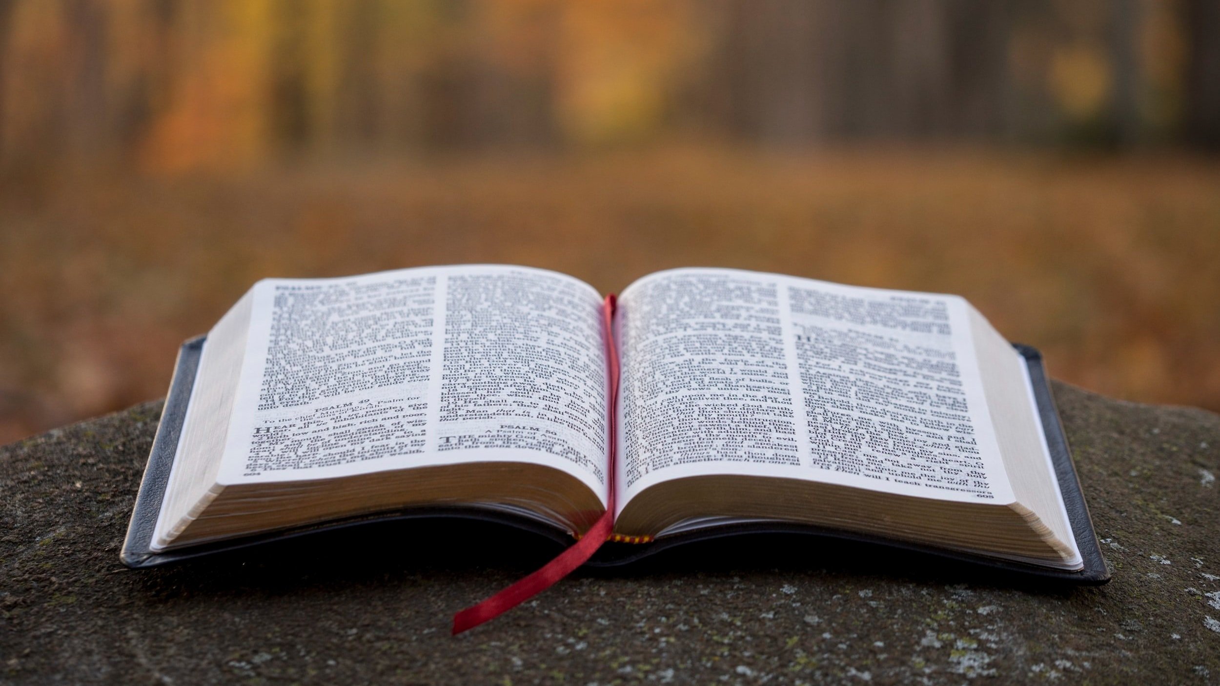 One Month Bible Reading Challenge