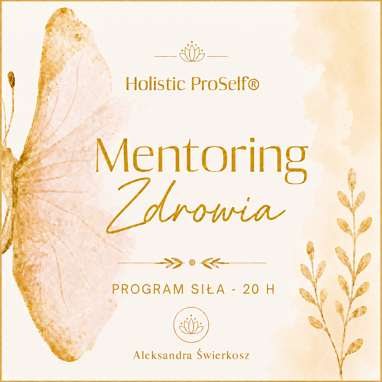 Mentoring Zdrowia PROGRAM SIŁA  - 20 h
