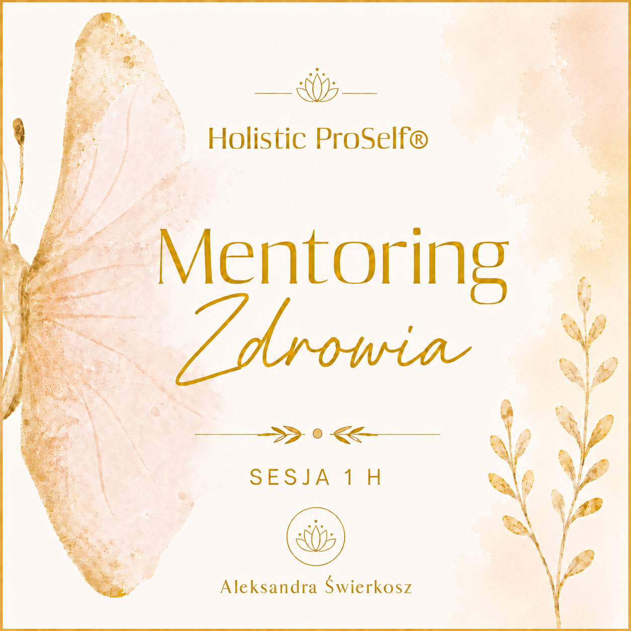 Mentoring Zdrowia Konsultacja 1 h