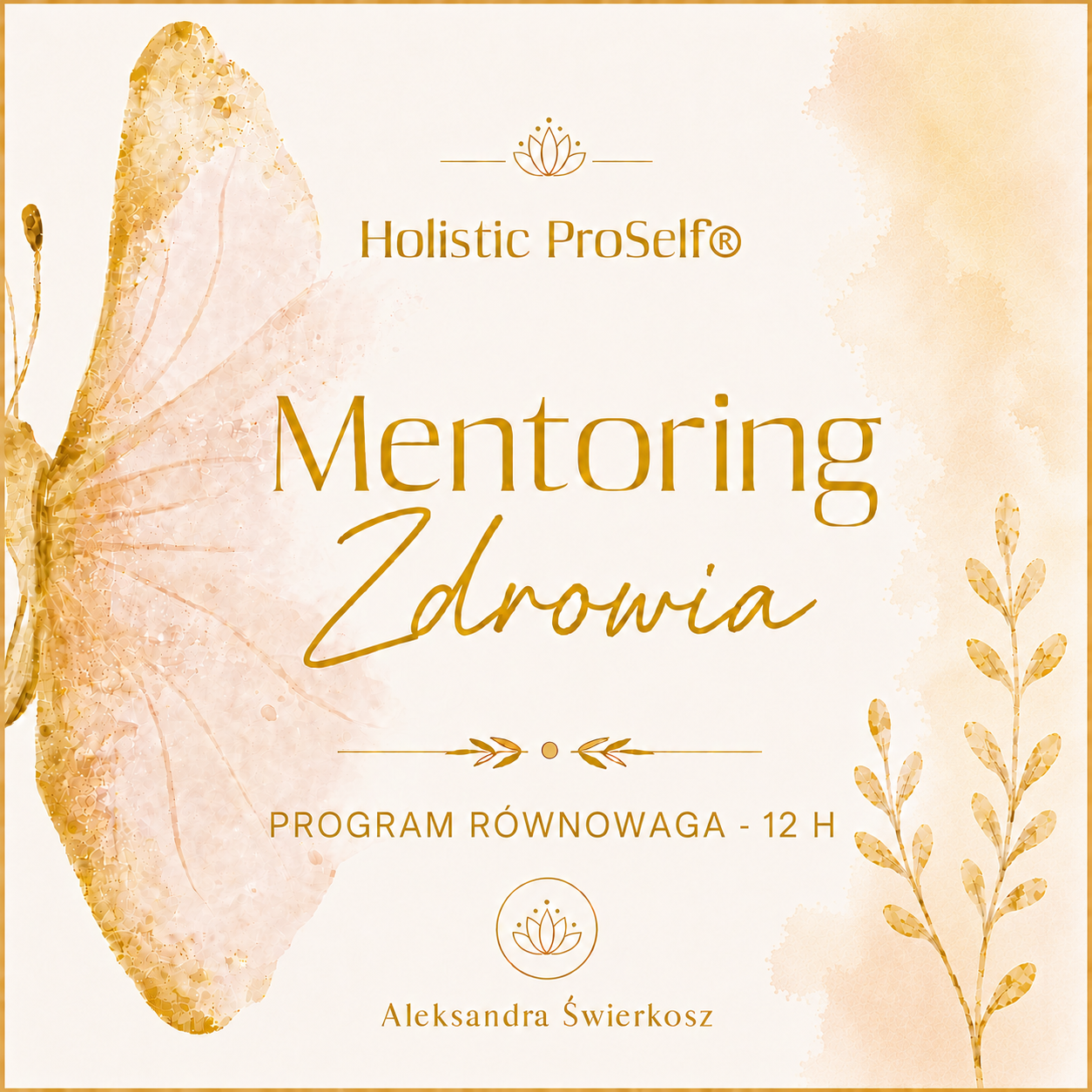 Mentoring Zdrowia PROGRAM RÓWNOWAGA - 12 h