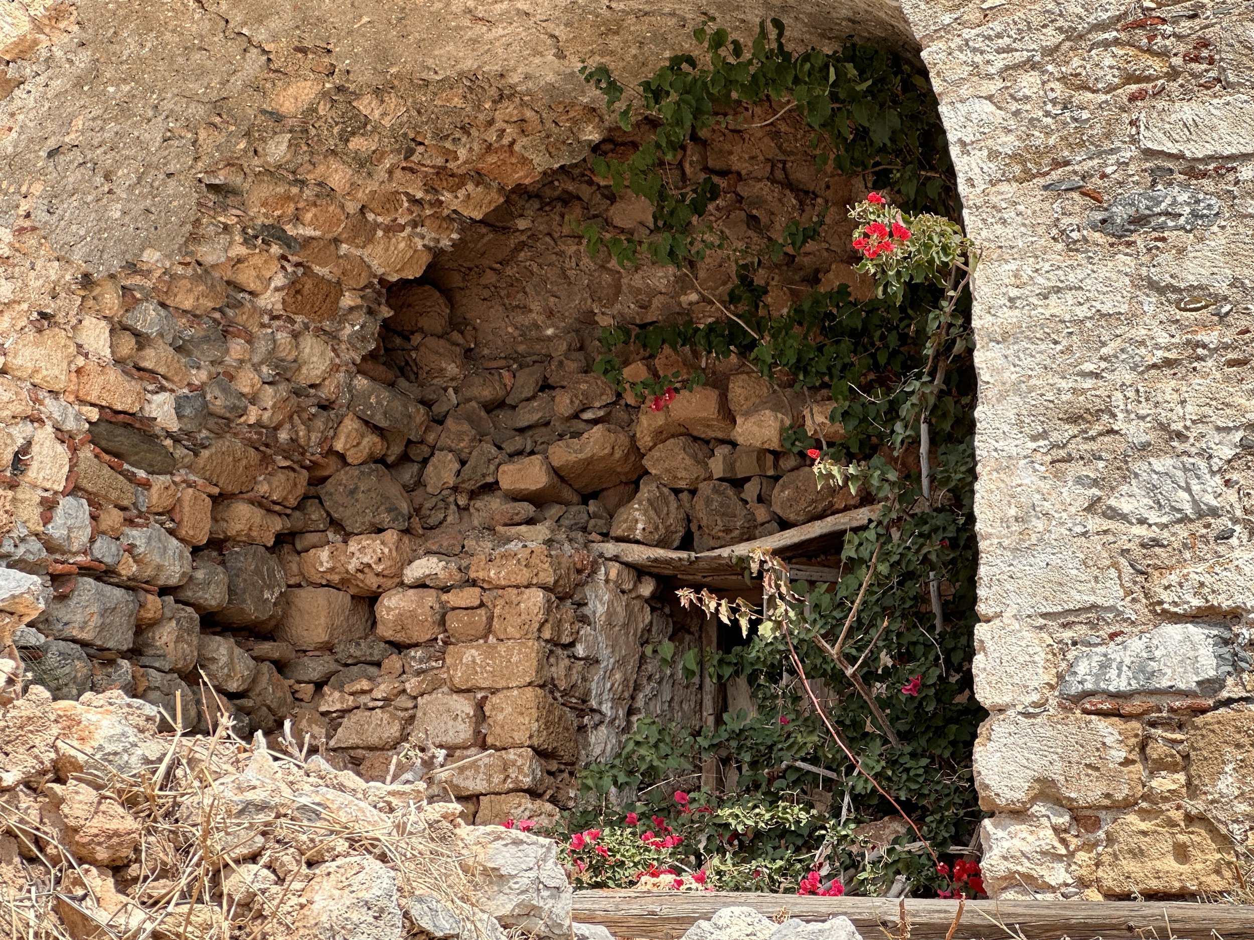 overgrown entrance.JPG