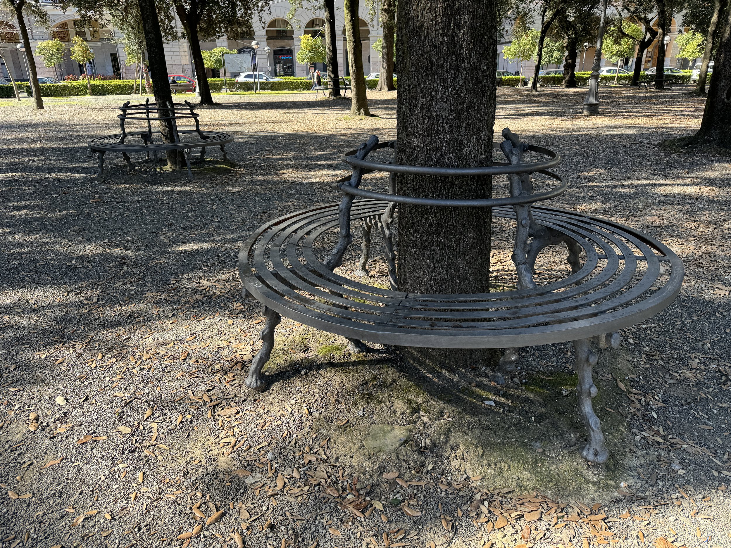   Cool park benches  