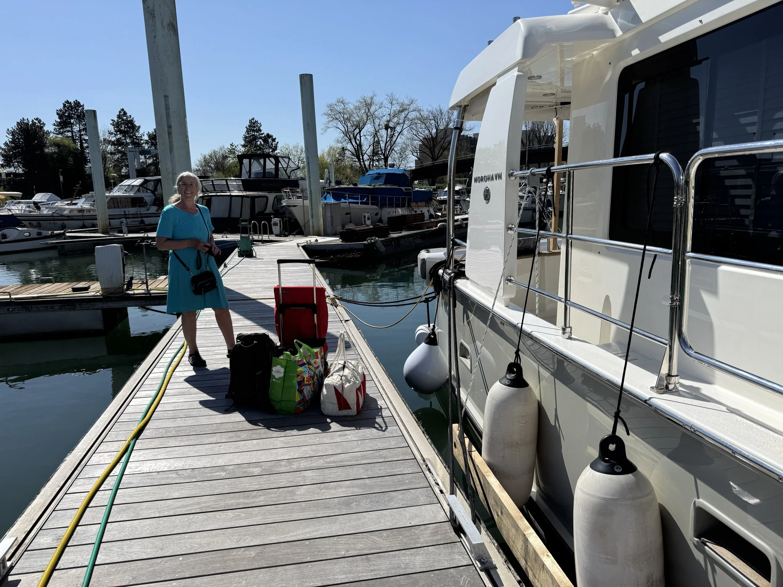 An exhausting trek to the grocery store!