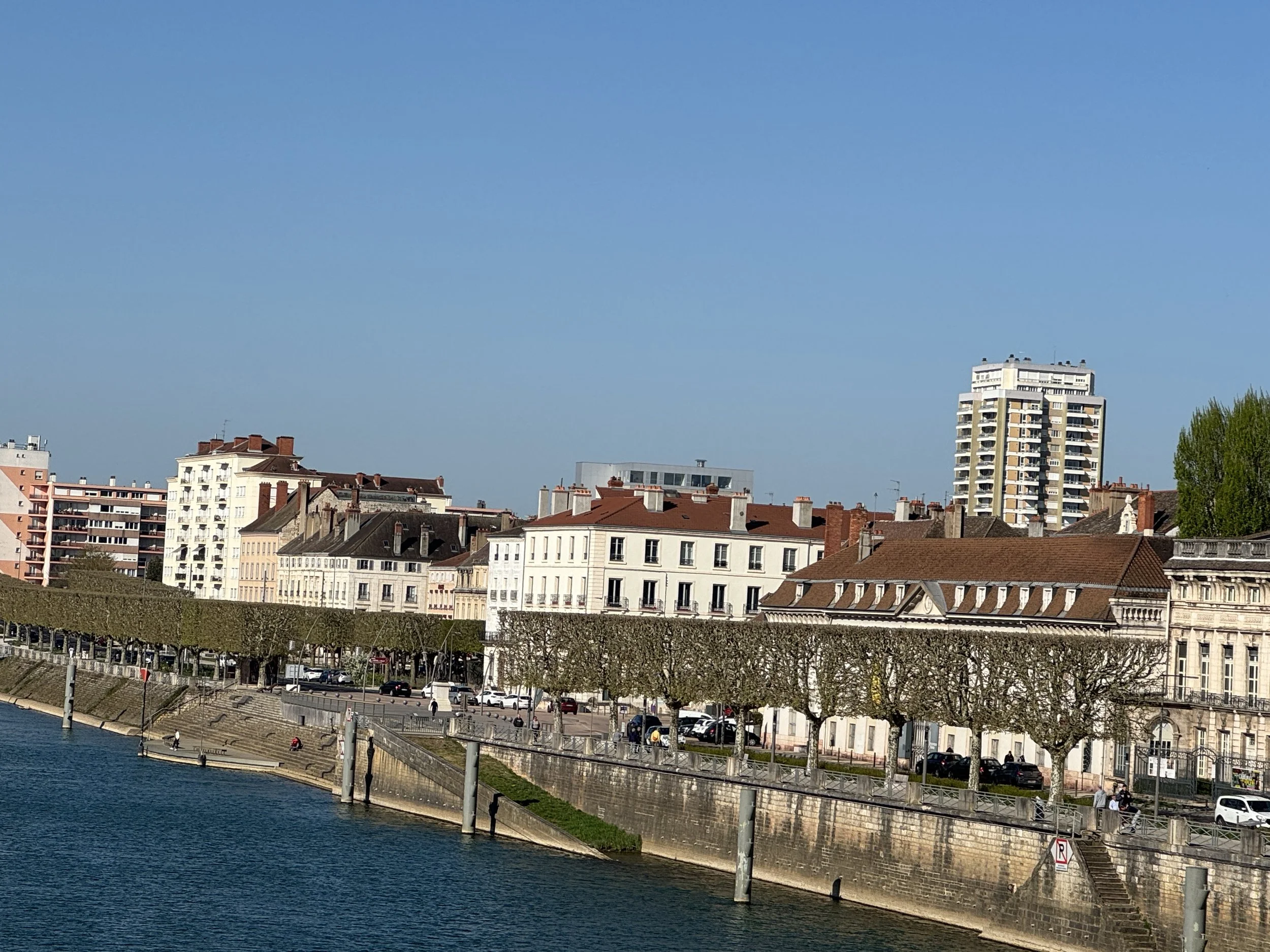   How do they prune these trees on the river side?  