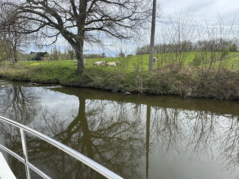   Still thoroughly enjoying the scenery  