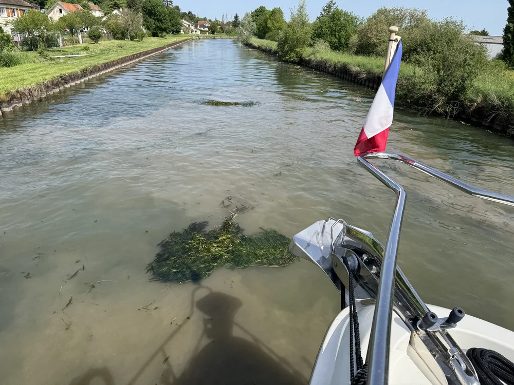   Knocked off another two clumps  