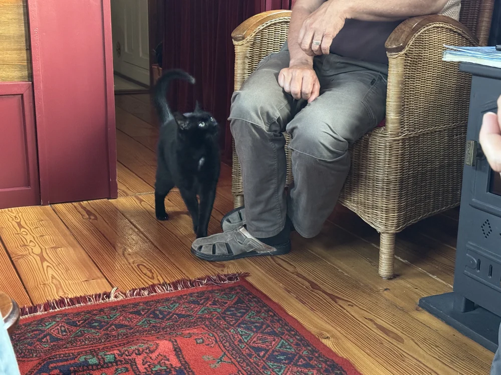   Their travel companion  