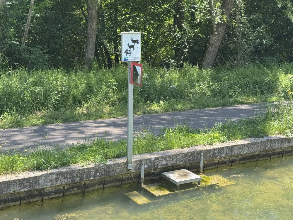   Access for critters to climb out of the water  