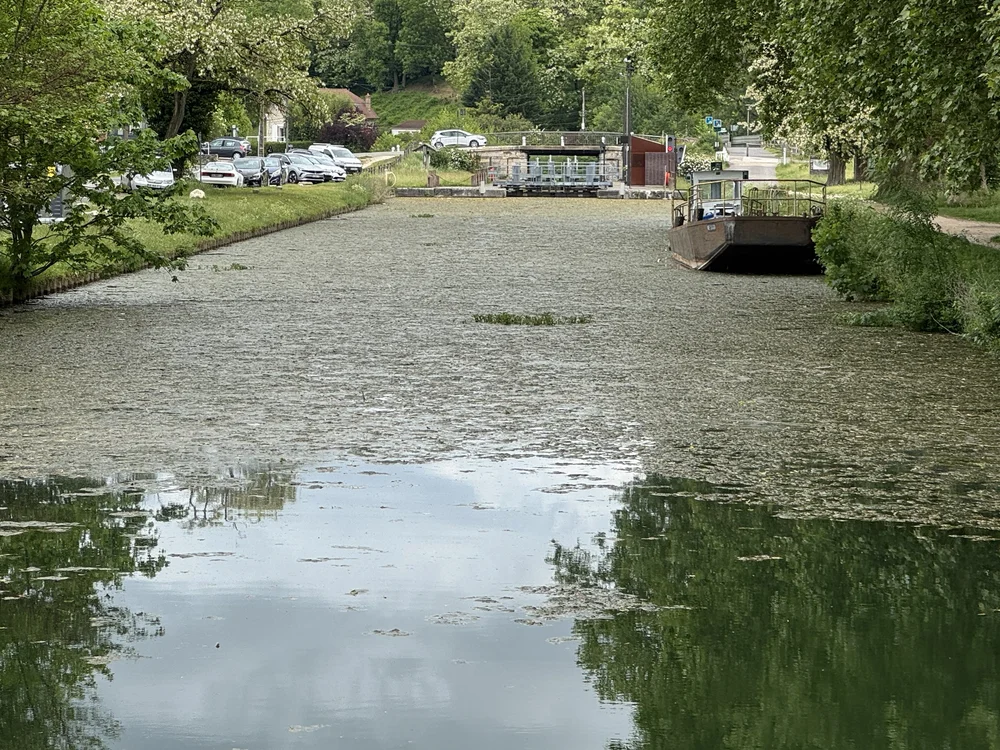   Not excited about this  