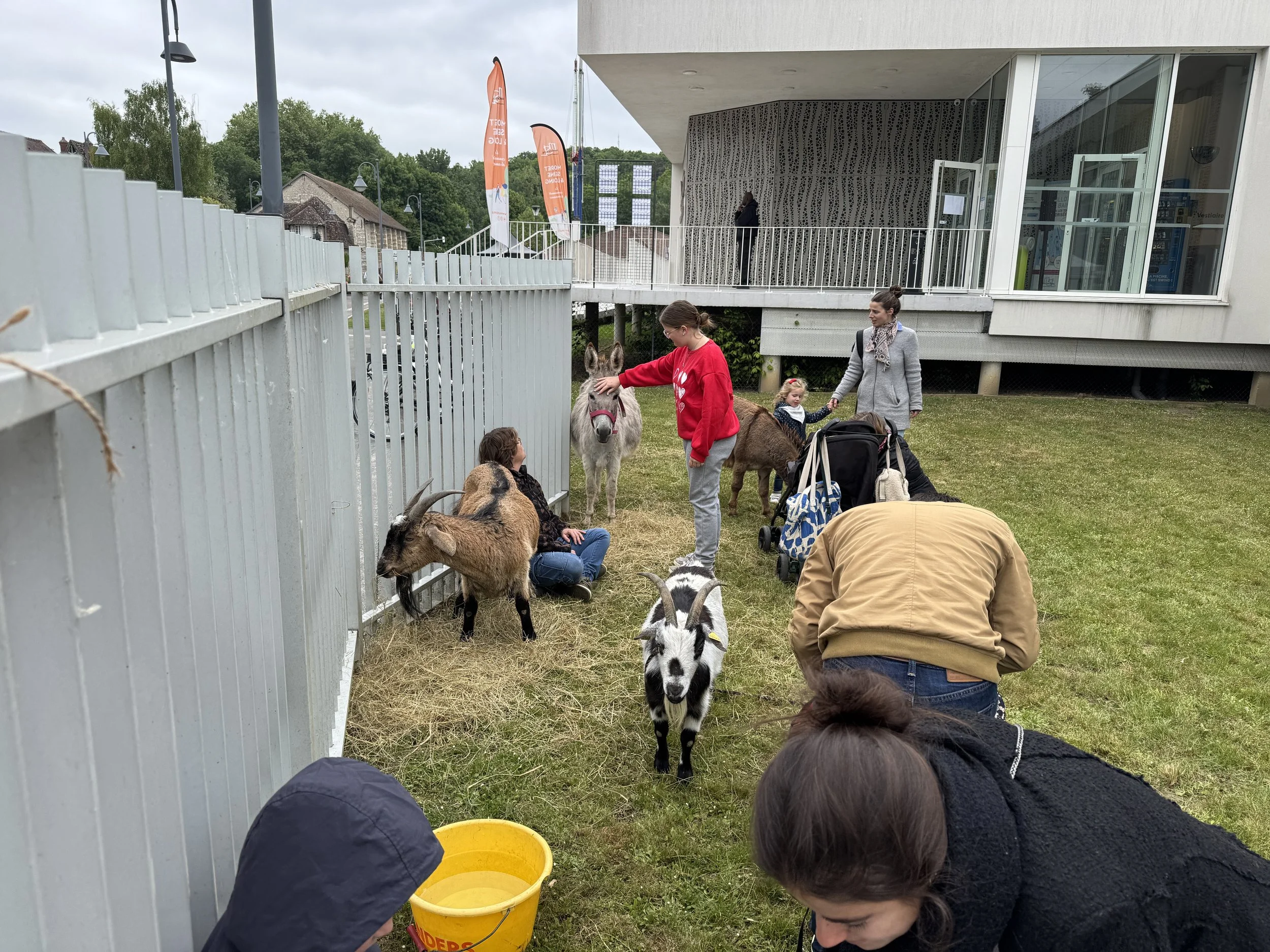   Petting zoo  