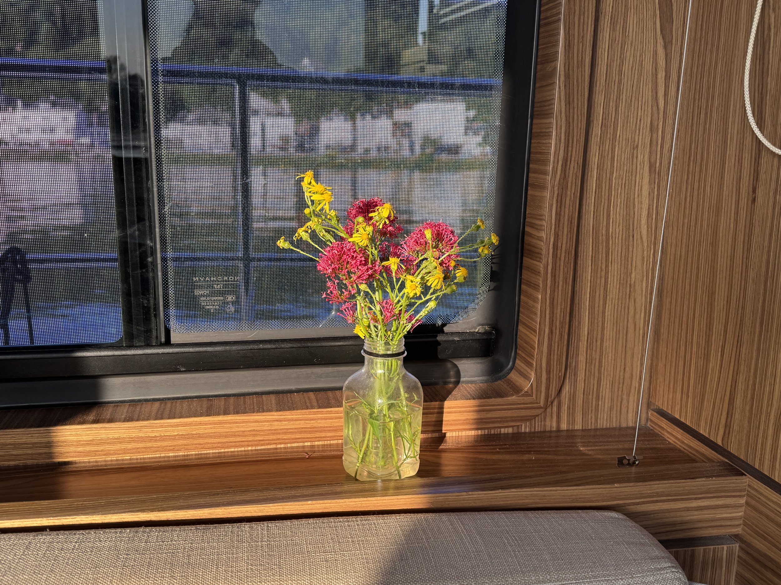   Even a handful of weeds from the parking lot can cheer me up after a thwarted departure.  