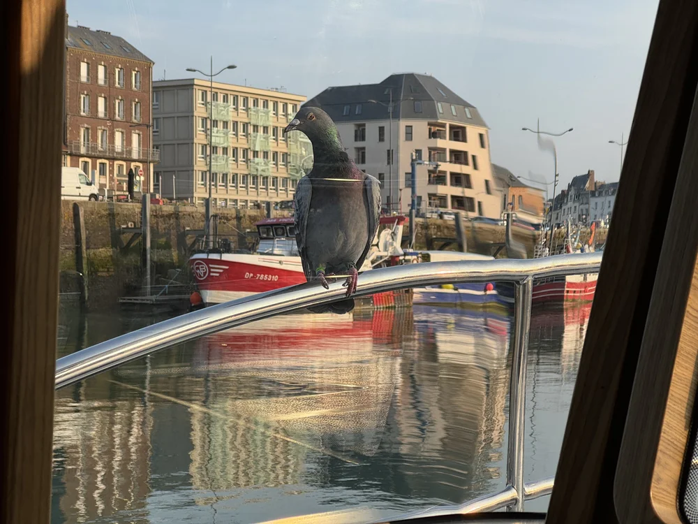   The welcoming committee.  