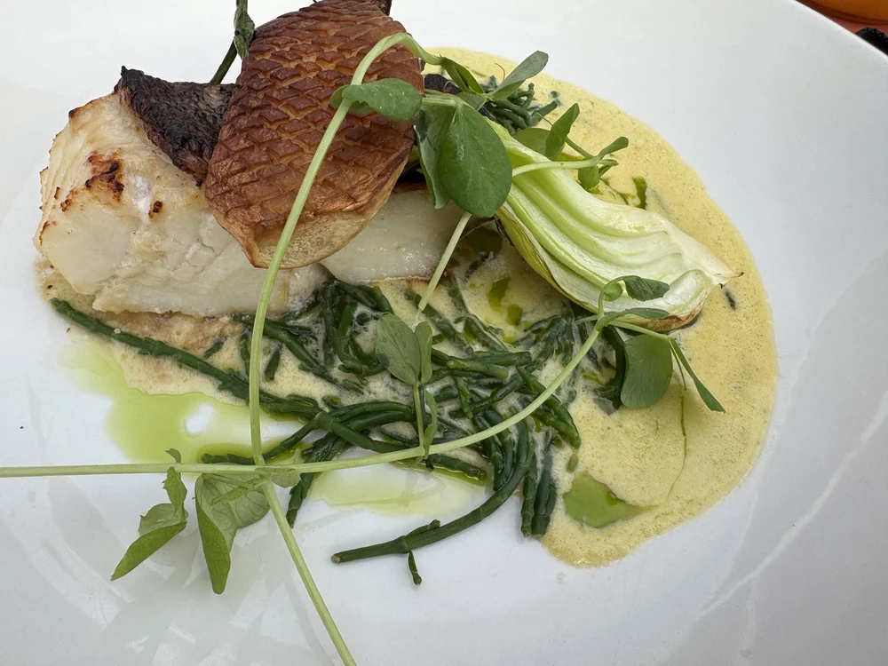   And extraordinary halibut dinner.  