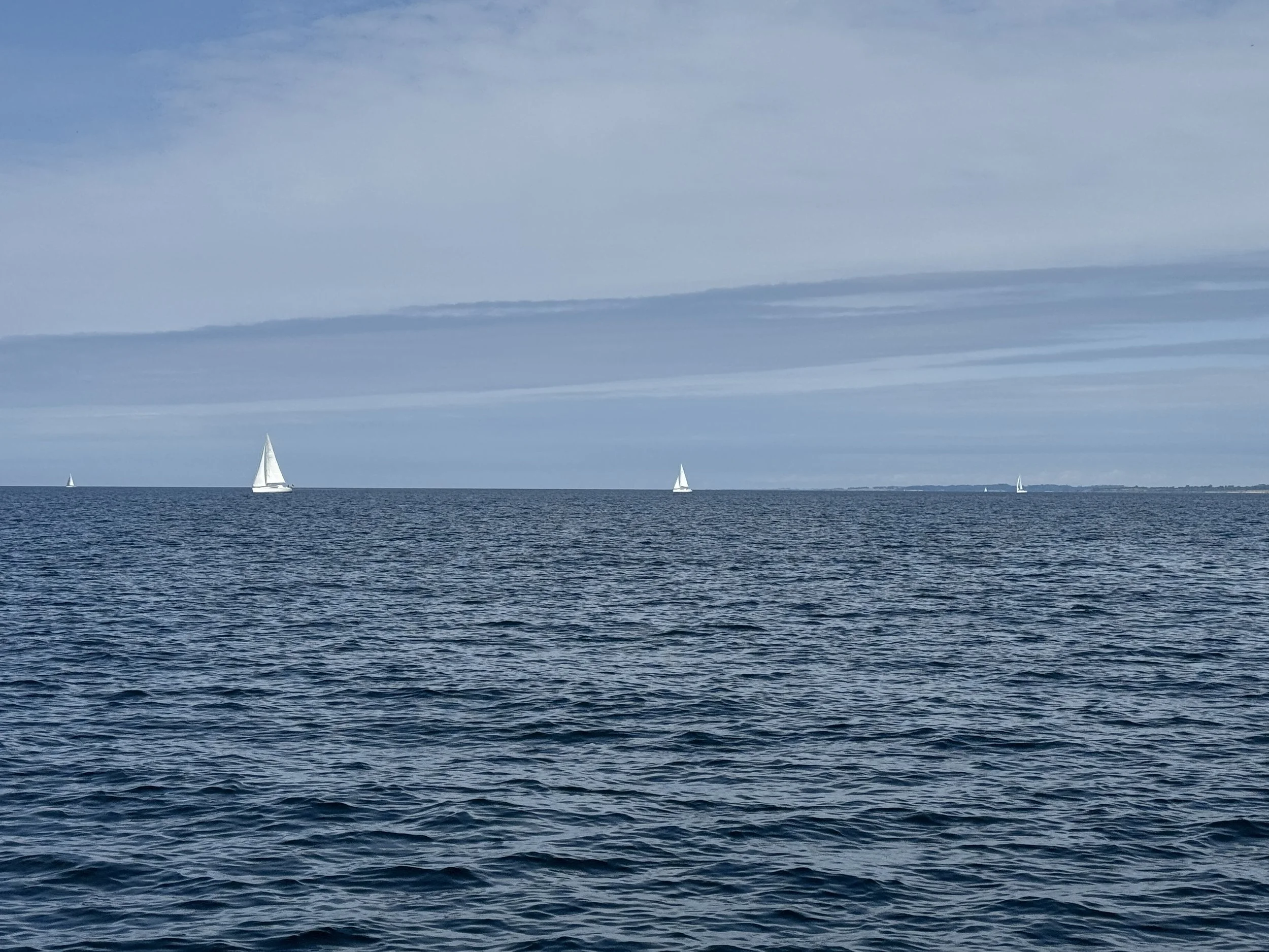 IMG_5679.JPG