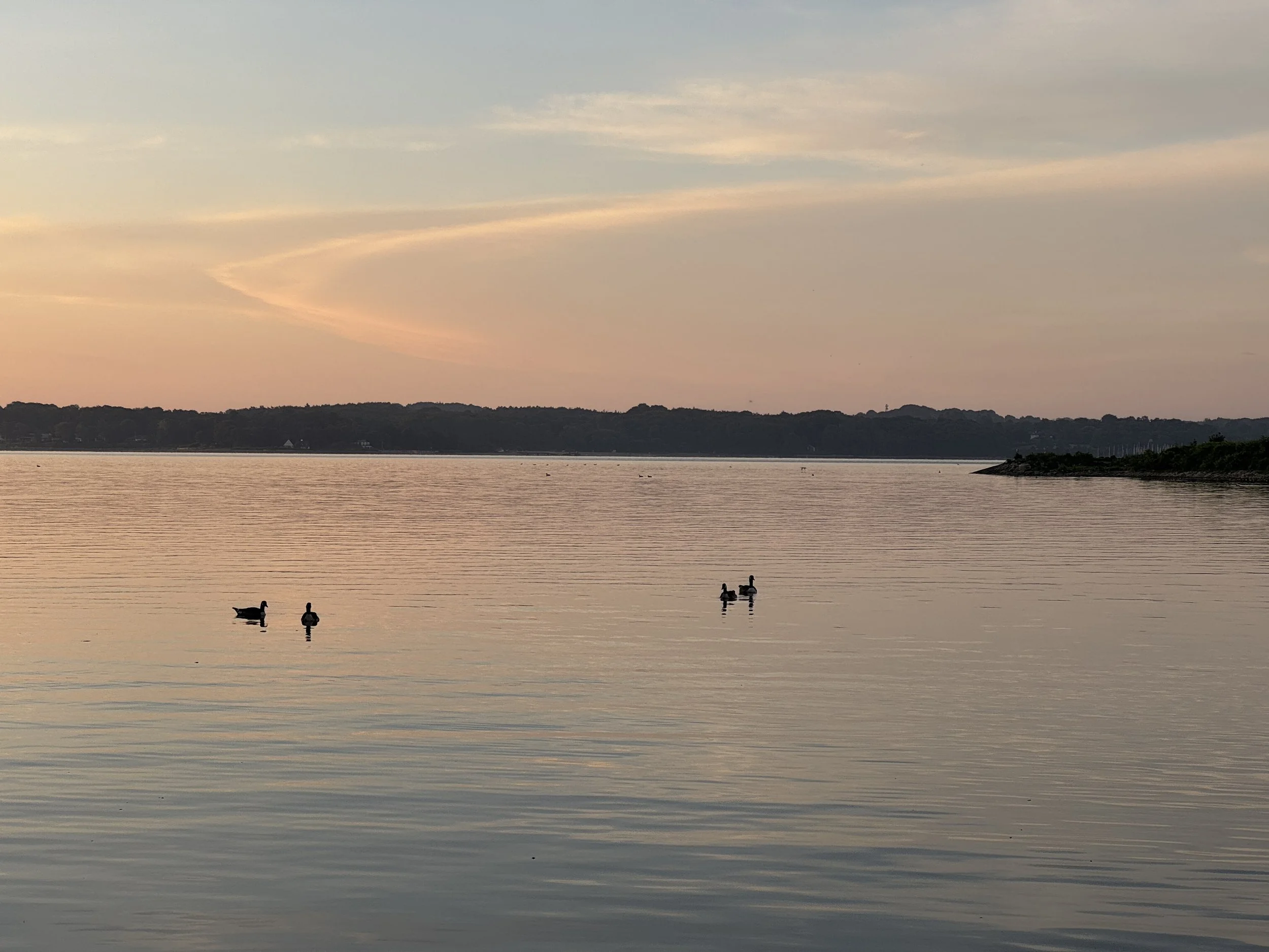   Morning light in the Kiel Fjord  