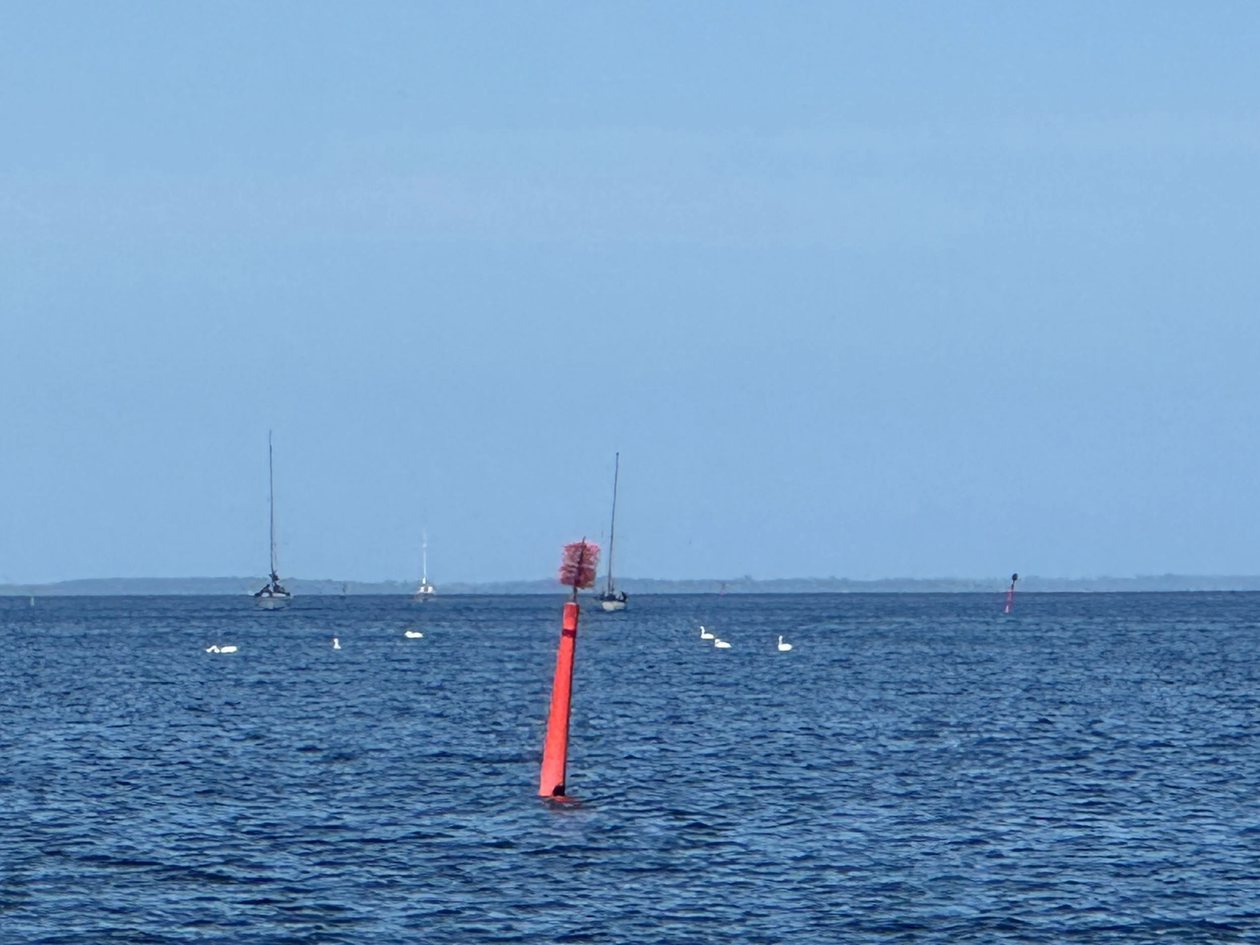   Stay in the channel, avoid the other boats and steer clear of the fishing gear.  