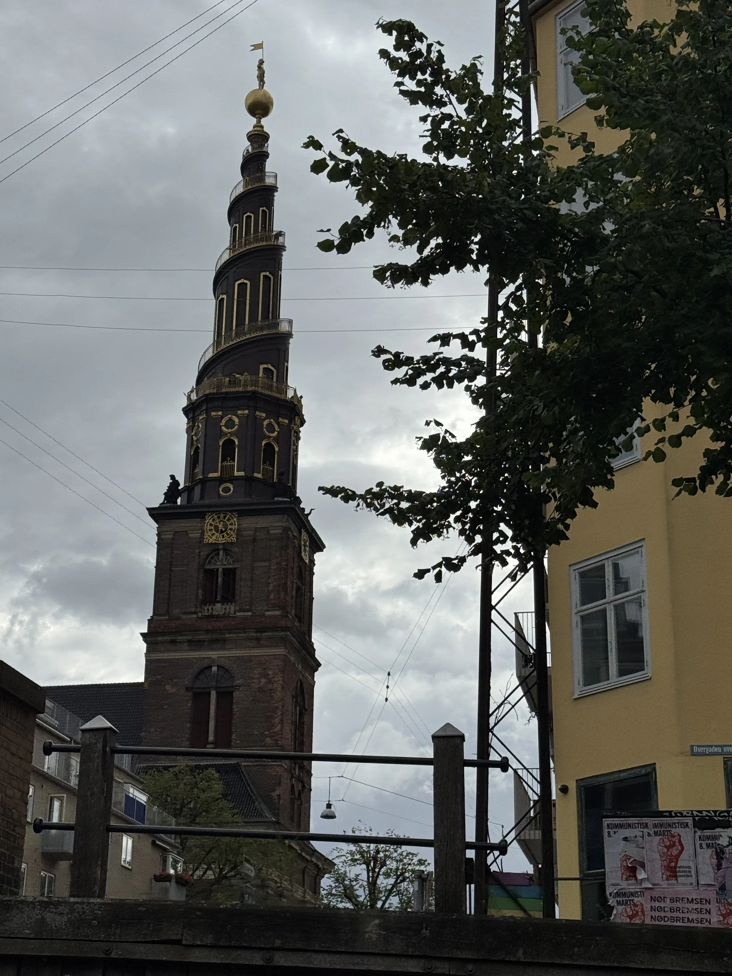 IMG_5929.JPG