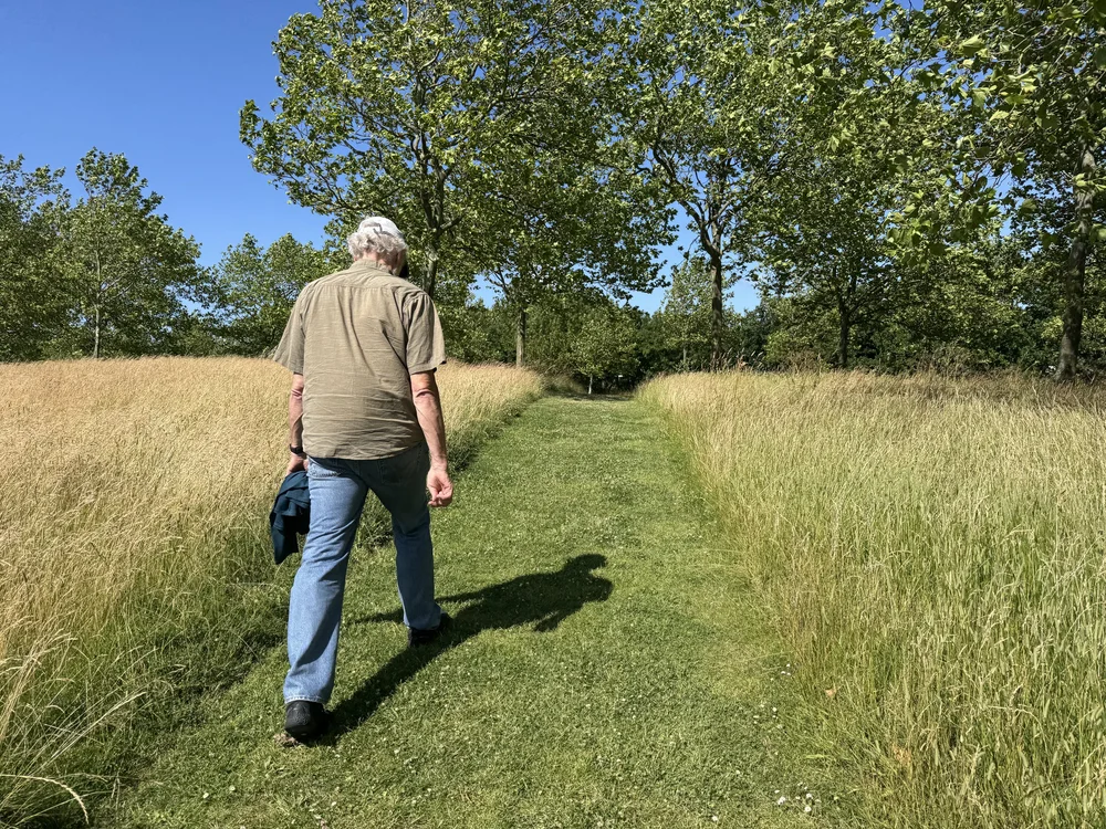   A walk through the park on route to the metro.  