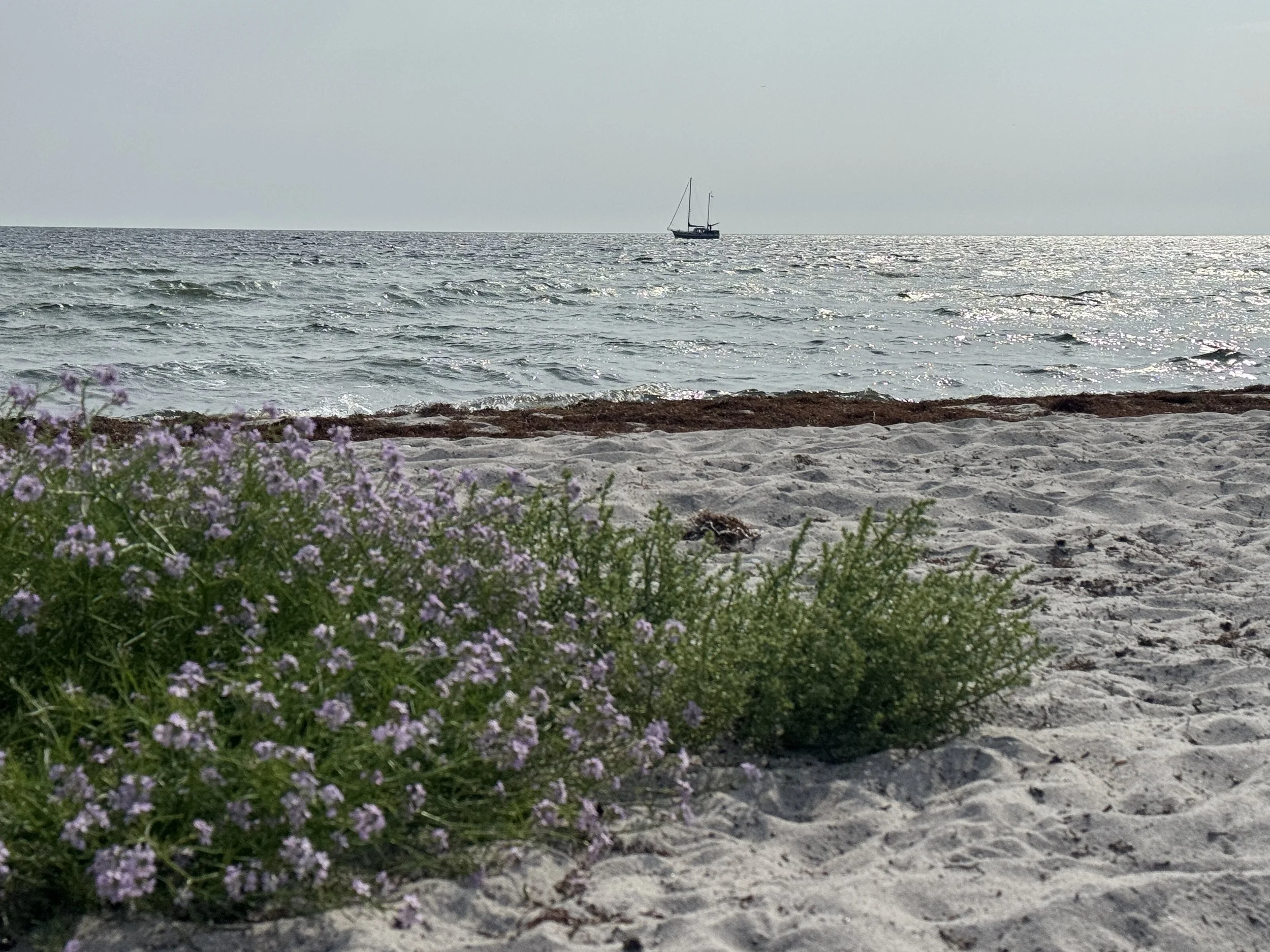   An afternoon reprieve from unpacking at the beach.  