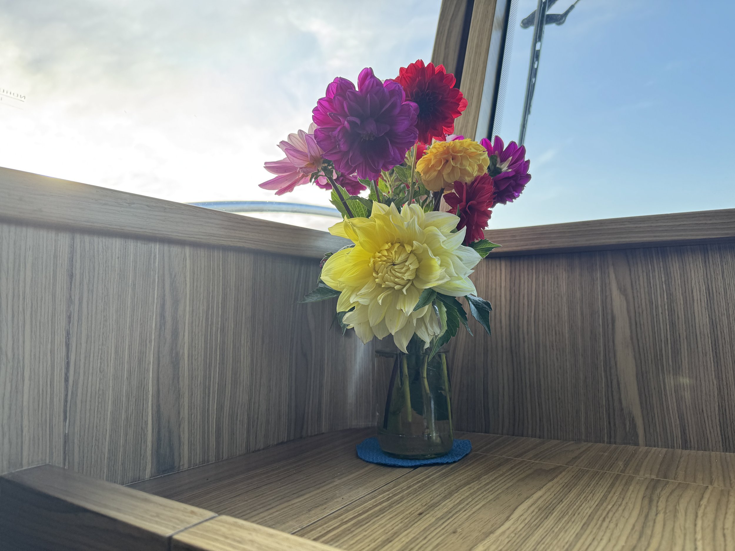   Favorite gift ever - it’s impossible not to be cheered by fresh flowers.  