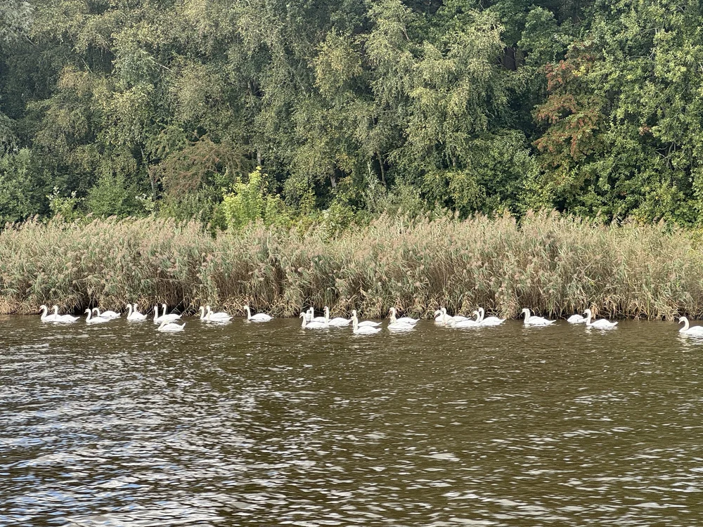   Youngsters hanging out.  