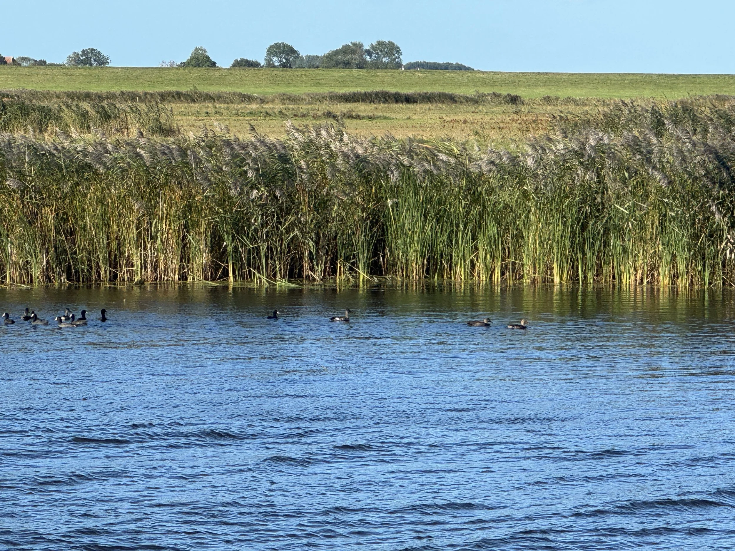   Inland cruising is a unique experience  