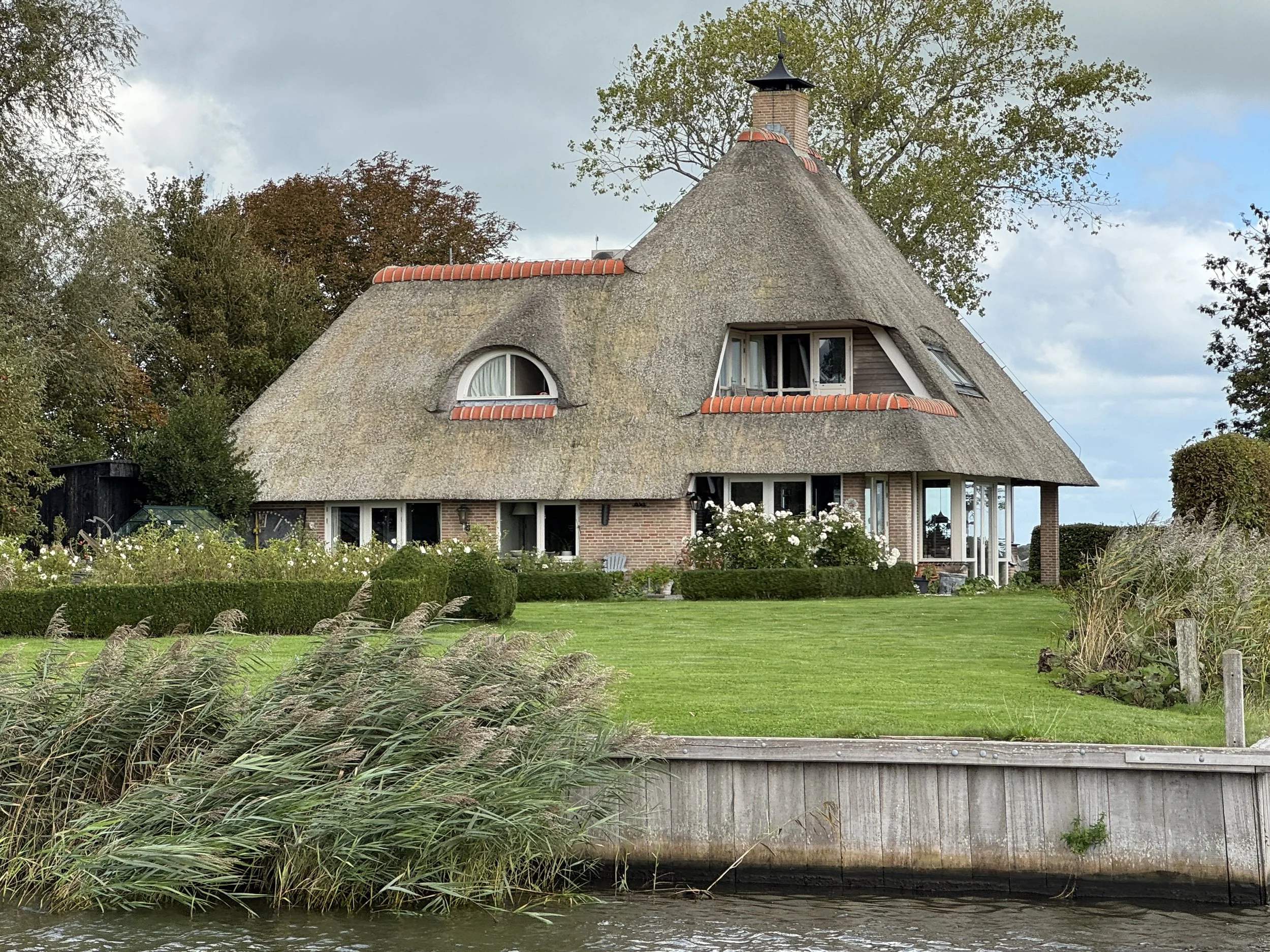   Modern thatch  