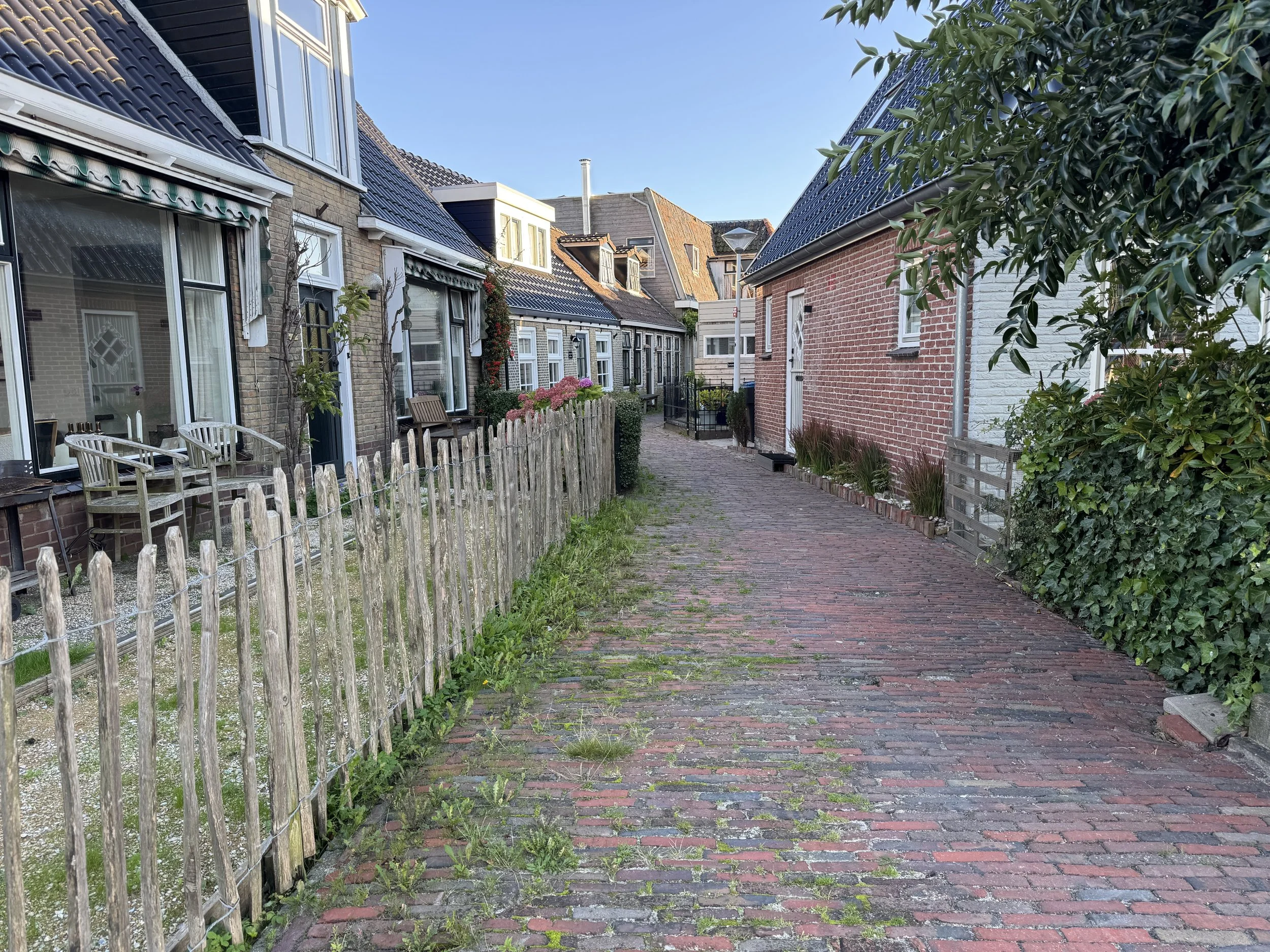 IMG_7908.JPG