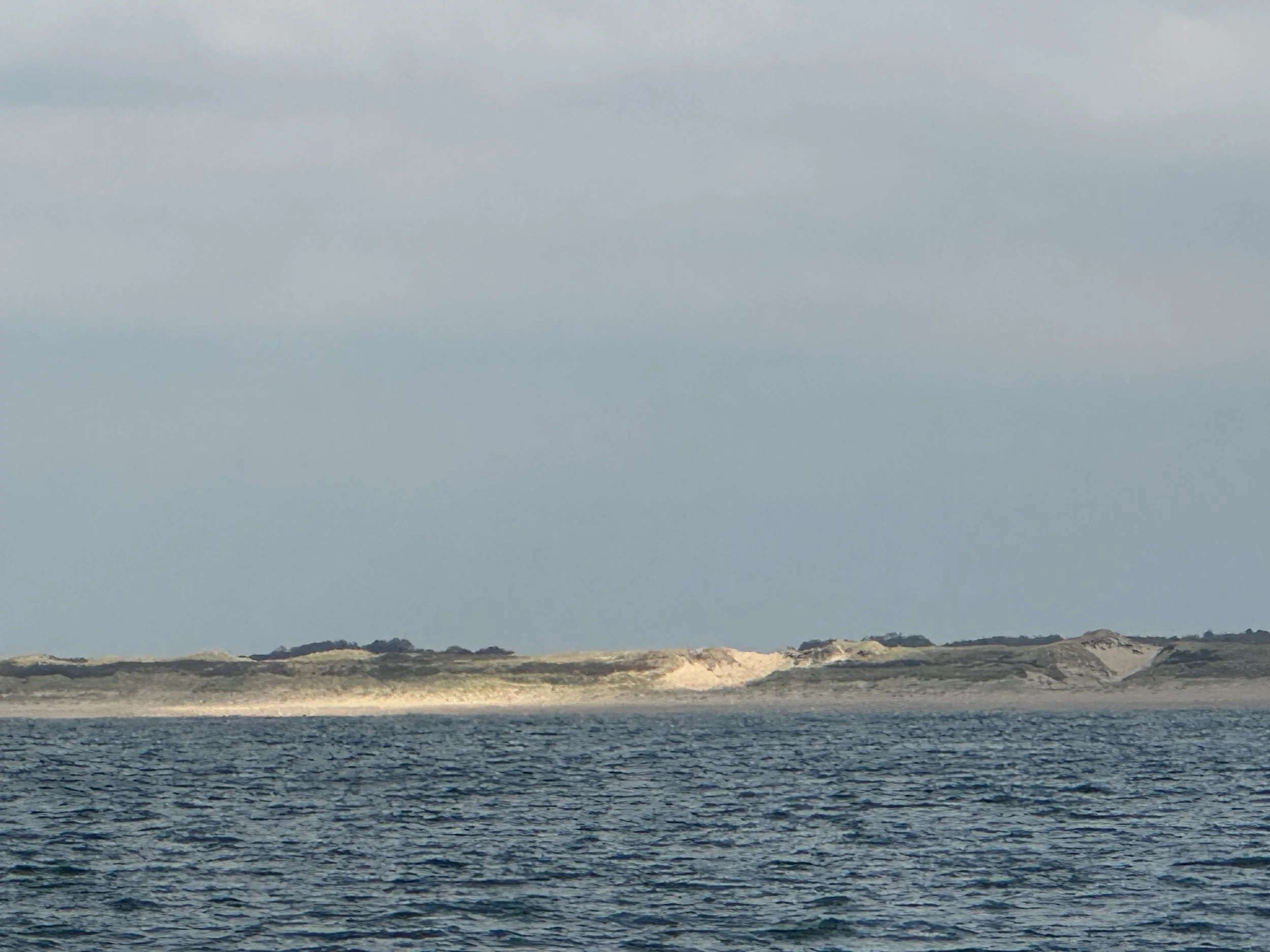 IMG_7967.JPG