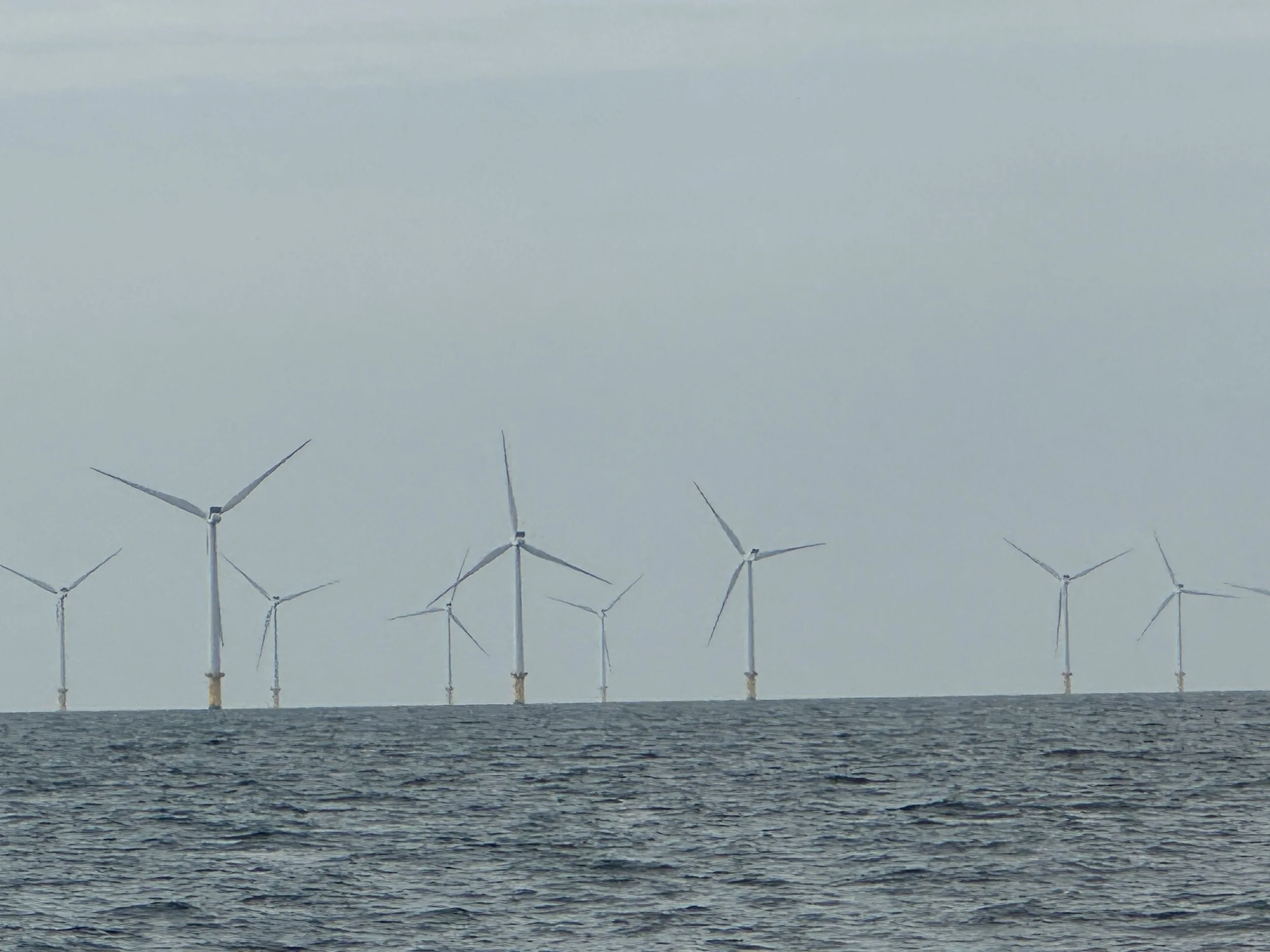   Huge wind turbine field  
