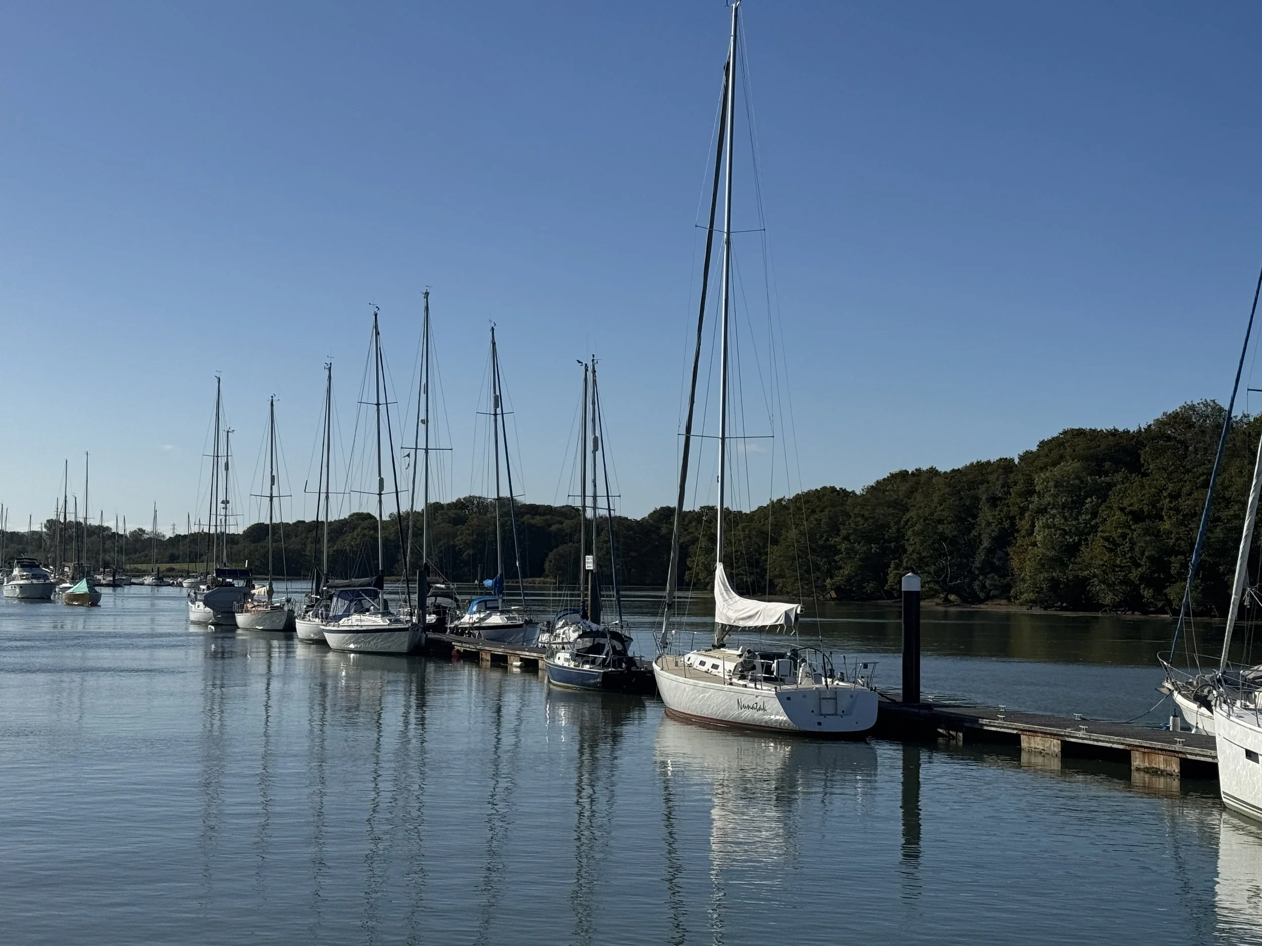   Floating pontoons at the edge of the thalweg.  
