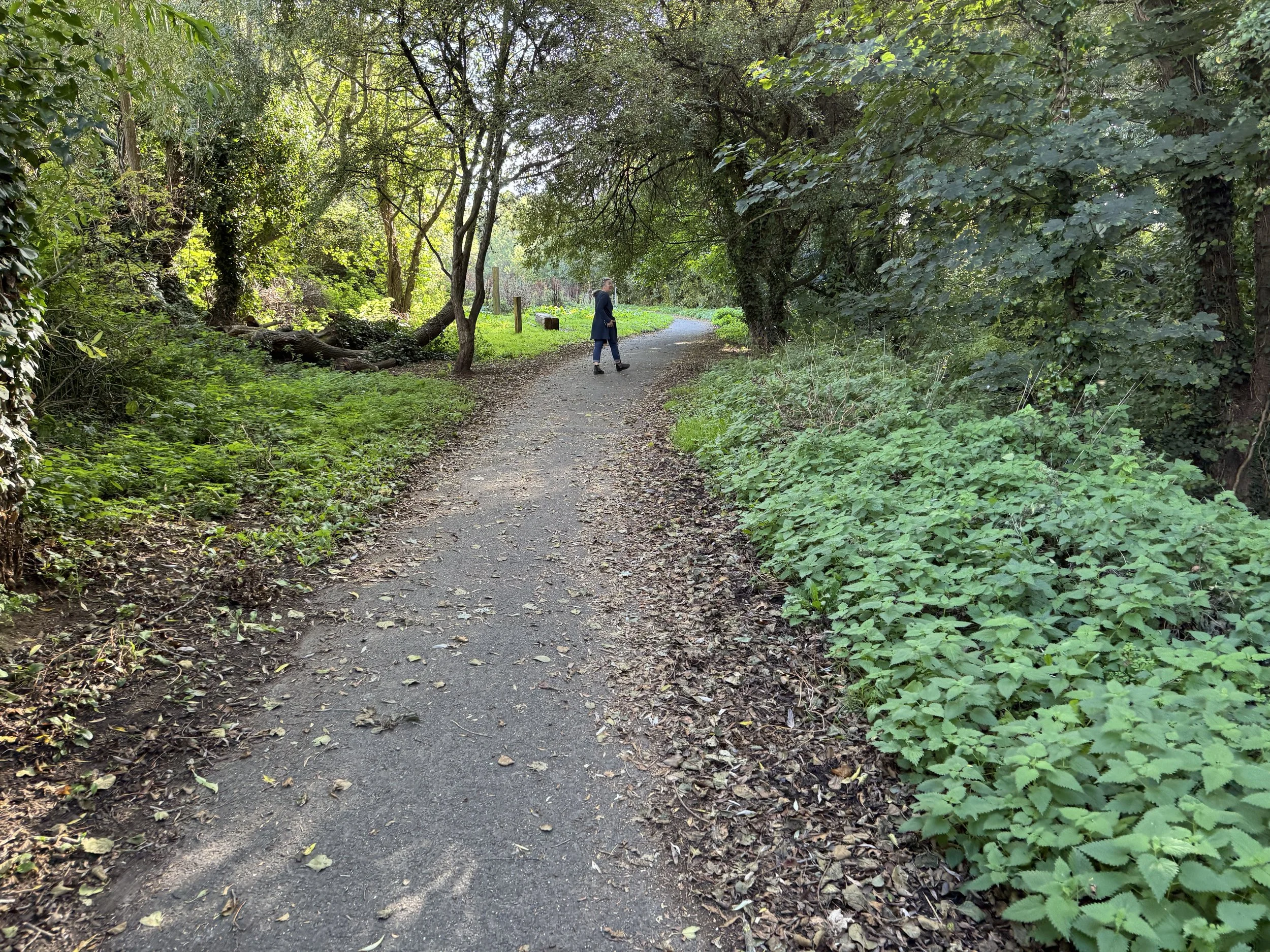  Serene creekside park  