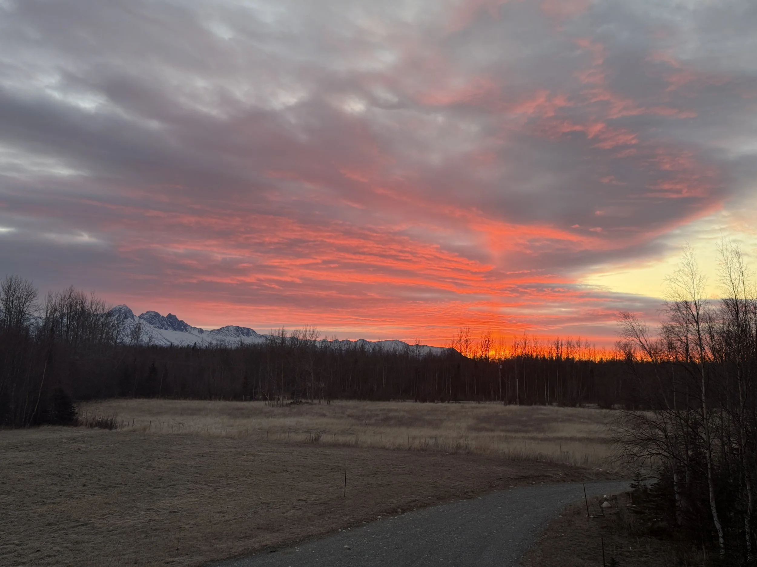   Winter sunsets are the best.  