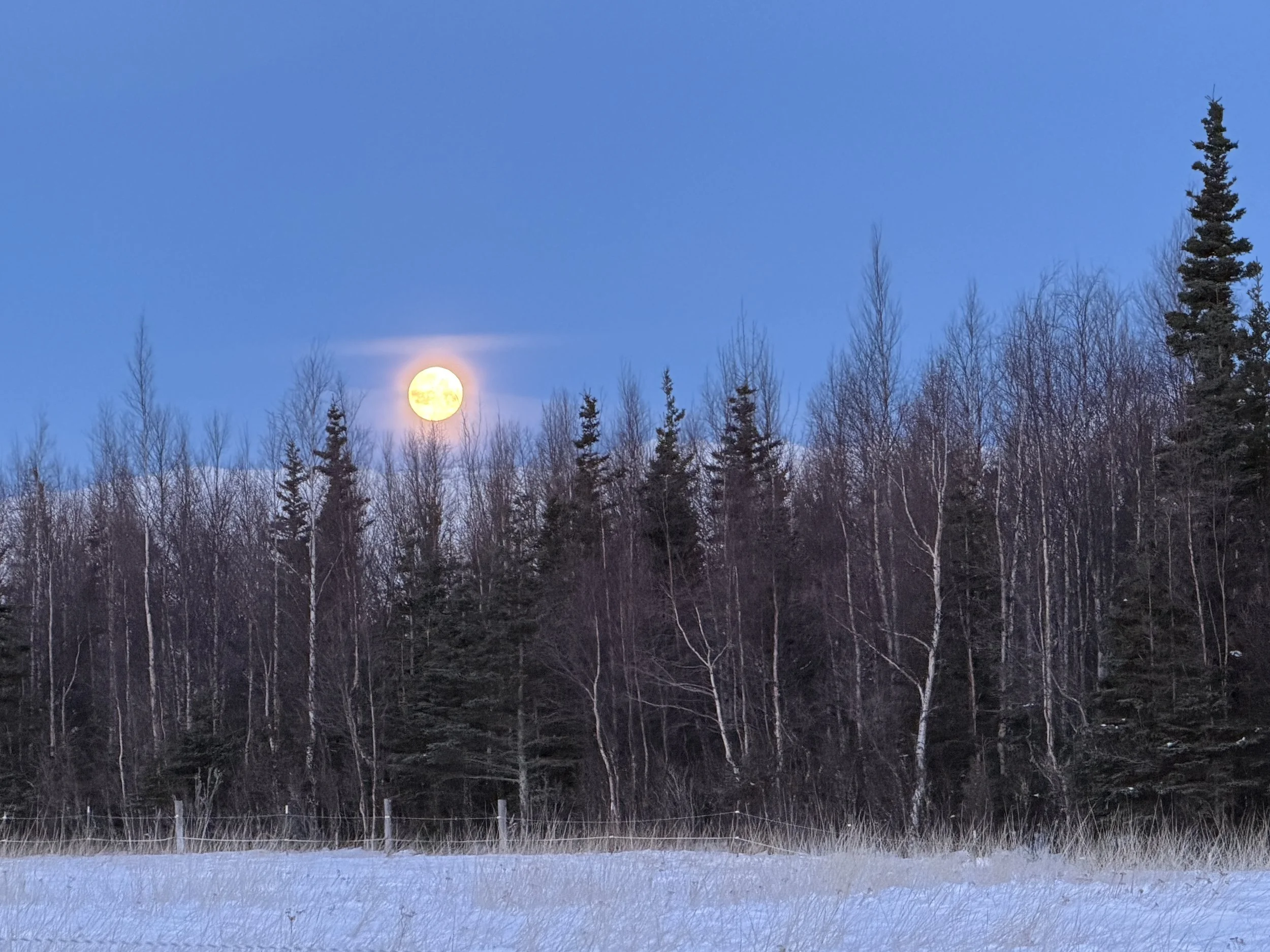   The restorative light of the full moon.  