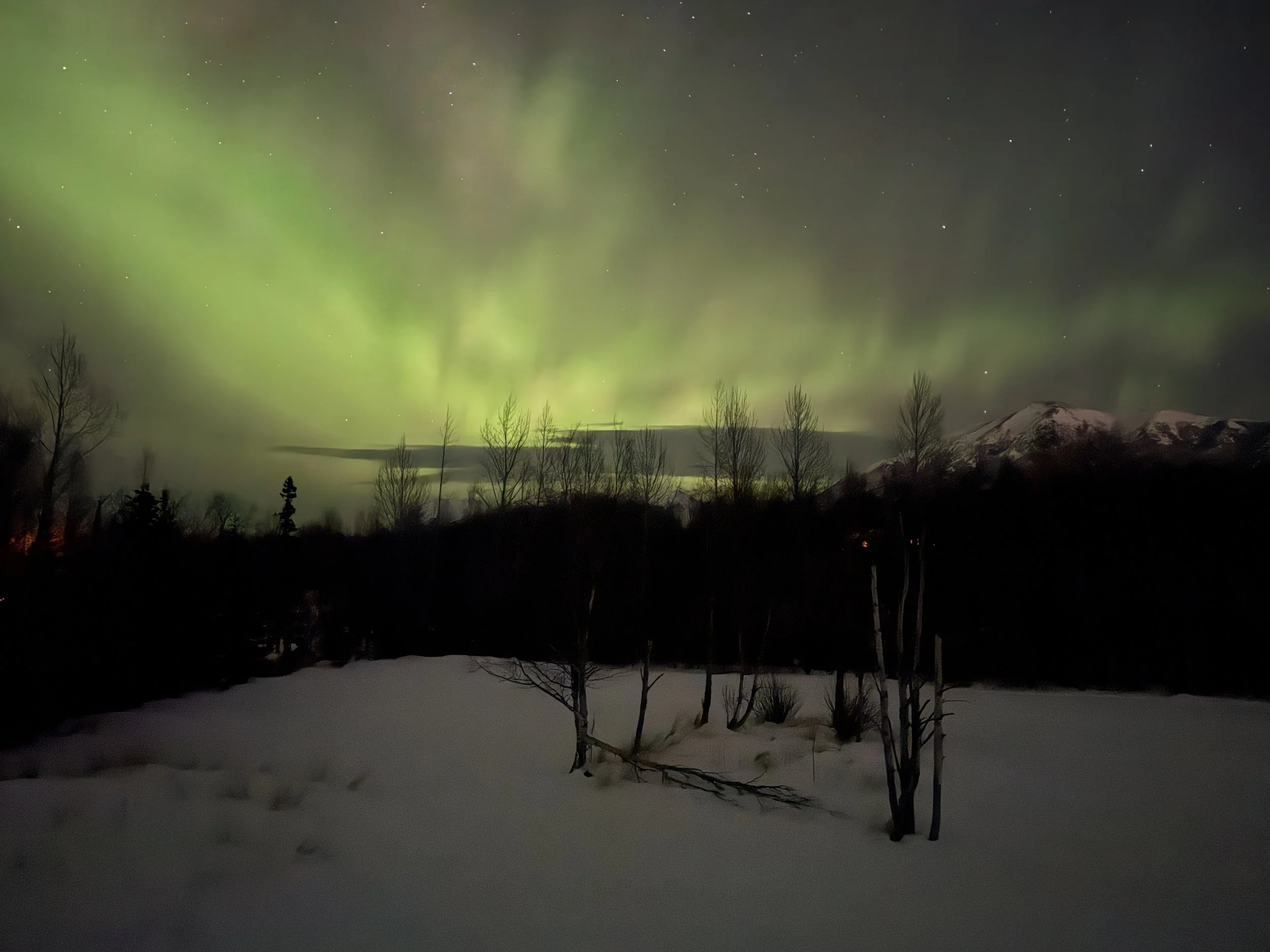   But the auroras this year were off the charts!  
